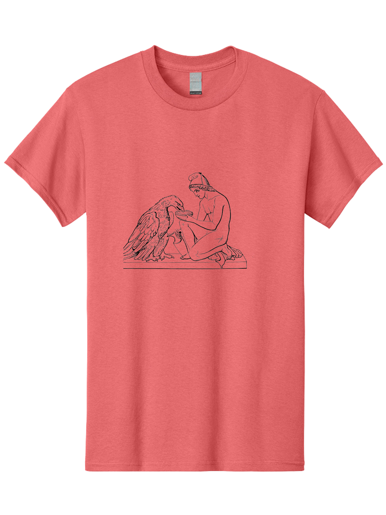 Ganymede-And-Eagle Men'S Graphic Tee, 100% Cotton, Comfortable Casual Summer Wear, Machine Washable, Kneeling Woman, Feeding Eagle, Bond Between Human And Animal, Nurturing Moment, Tender Interaction, Simple Line Art, Minimalist Design, - Aaa534