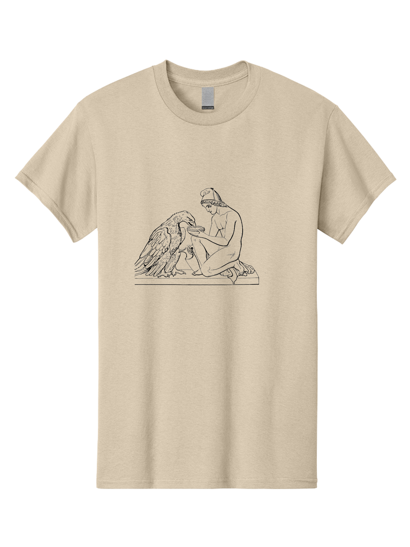 Ganymede-And-Eagle Men'S Graphic Tee, 100% Cotton, Comfortable Casual Summer Wear, Machine Washable, Kneeling Woman, Feeding Eagle, Bond Between Human And Animal, Nurturing Moment, Tender Interaction, Simple Line Art, Minimalist Design, - Aaa534