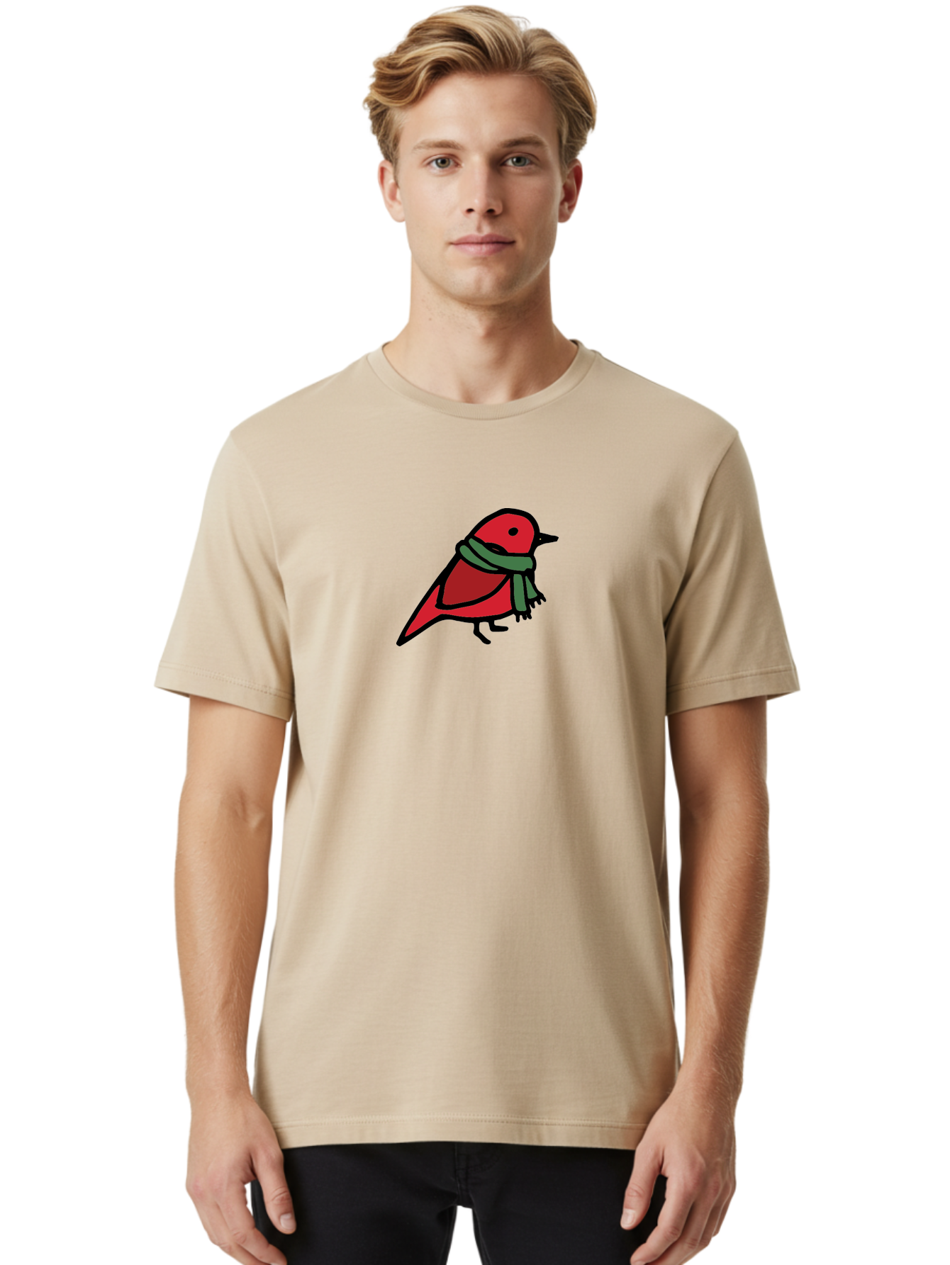 Red-Bird-With-Grey-Scarf Men'S Graphic Tee, 100% Cotton, Comfortable Casual Summer Wear, Machine Washable, Red Bird, Cartoon Style, Green Scarf, Black Outlines, Winter Theme, Festive, Charming, Simple Design, Playful, Cute Aab064