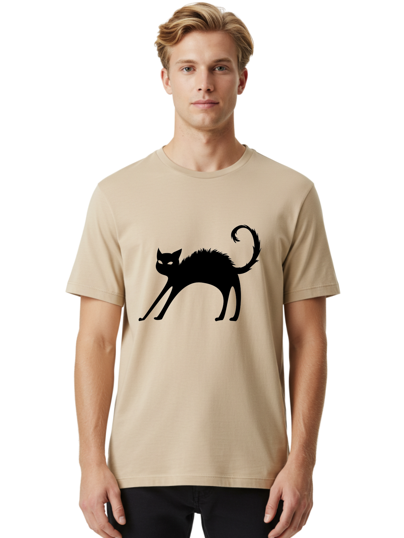 Black-Cat-Silhouette-1 Men'S Graphic Tee, 100% Cotton, Comfortable Casual Summer Wear, Machine Washable, Black Cat Silhouette, Spooky Cat, Halloween Symbol, Mysterious Animal, Glowing Eyes, Feline Silhouette, Mystical Creature, Aab202