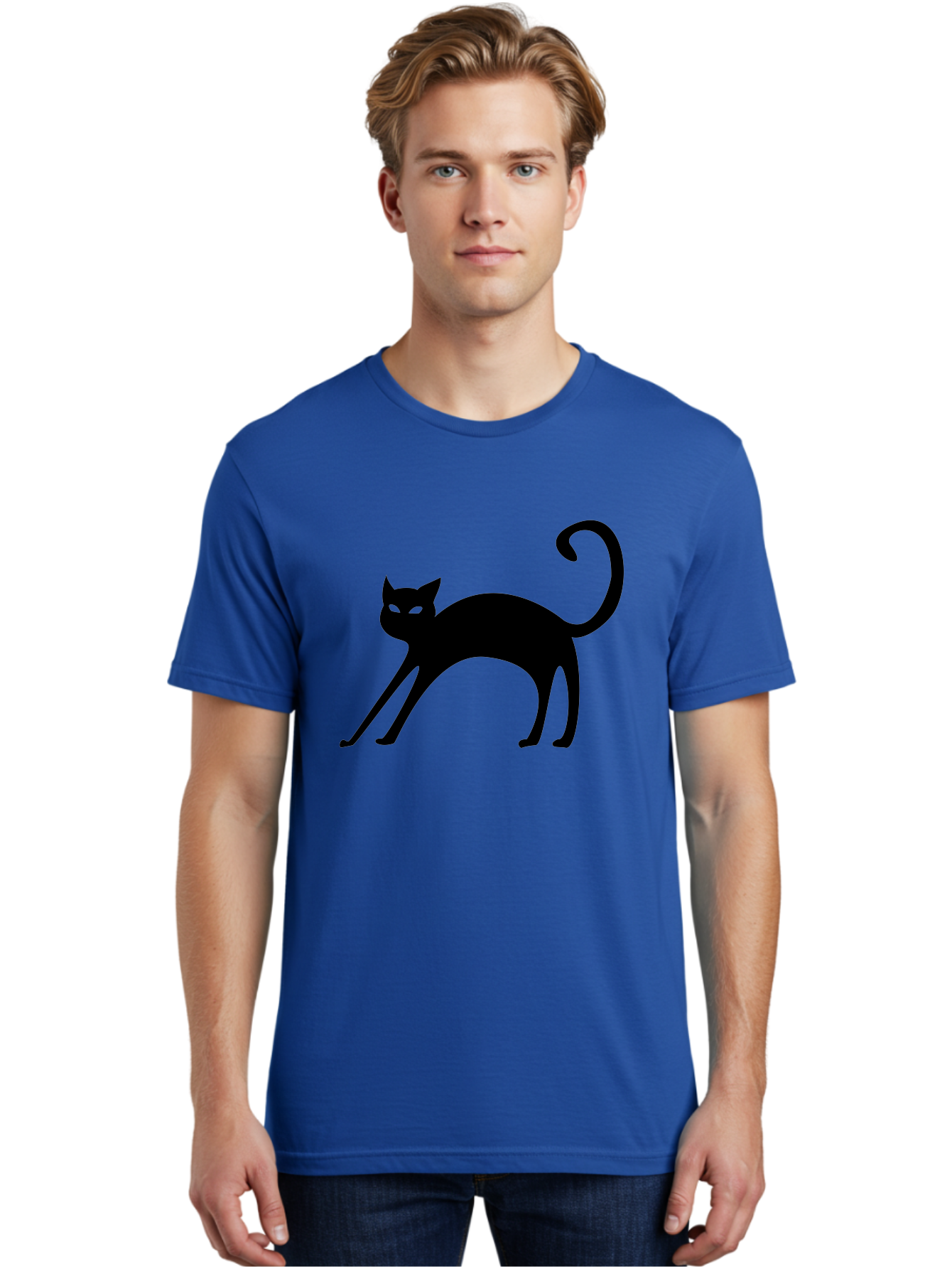 Black-Cat-Silhouette Men'S Graphic Tee, 100% Cotton, Comfortable Casual Summer Wear, Machine Washable, Black Cat Silhouette, Mysterious Eyes, Glowing Green Eyes, Feline Figure, Spooky Atmosphere, Halloween Icon, Cat Illustration, Aab204