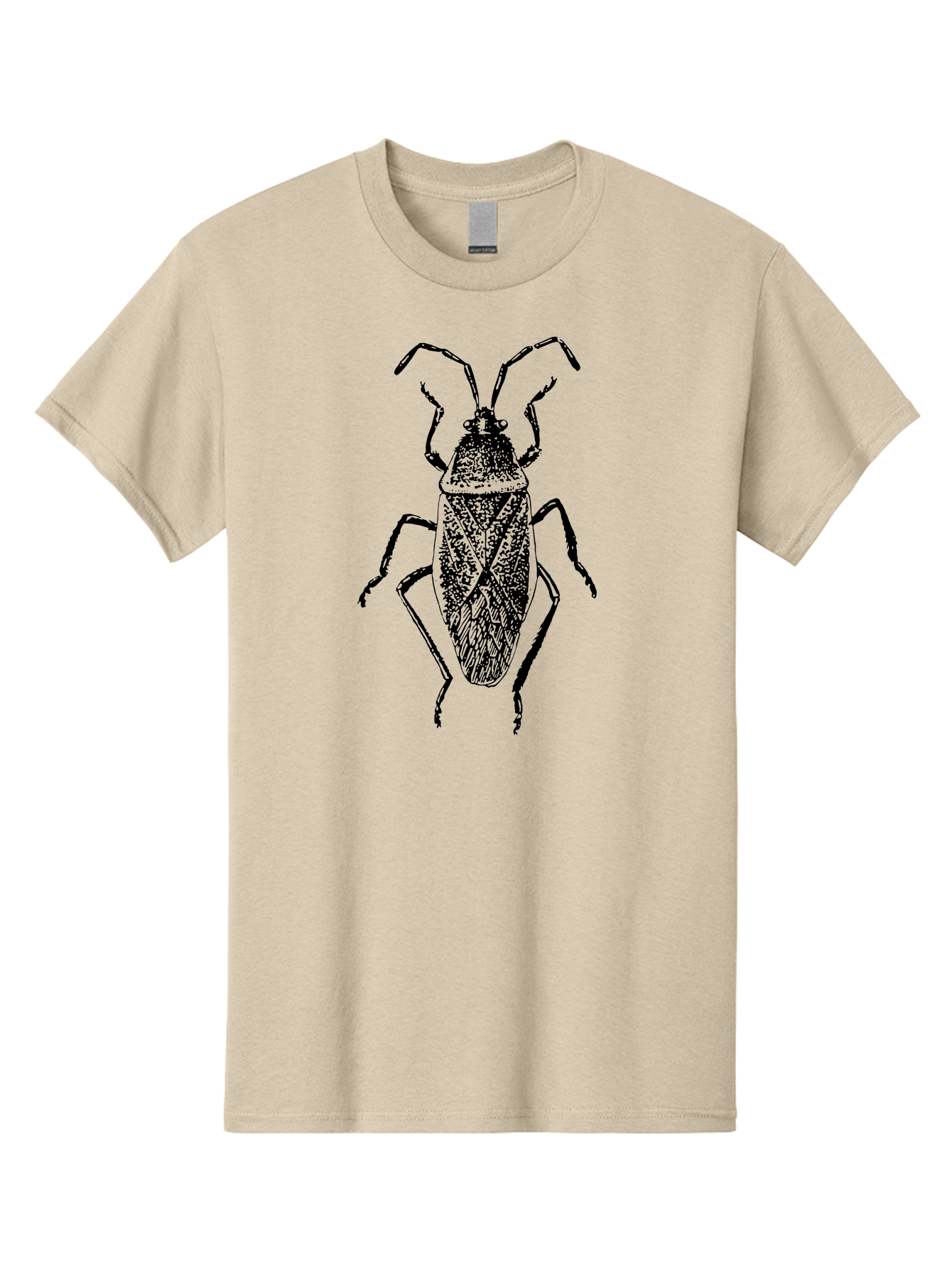 Assassin-Bug Men'S Graphic Tee, 100% Cotton, Comfortable Casual Summer Wear, Machine Washable, Assassin Bug, Insect Anatomy, Entomology Art, Detailed Illustration, Black And Green, Vintage Style, Insect Wings, Bug Legs, Creepy Crawlers Aab497