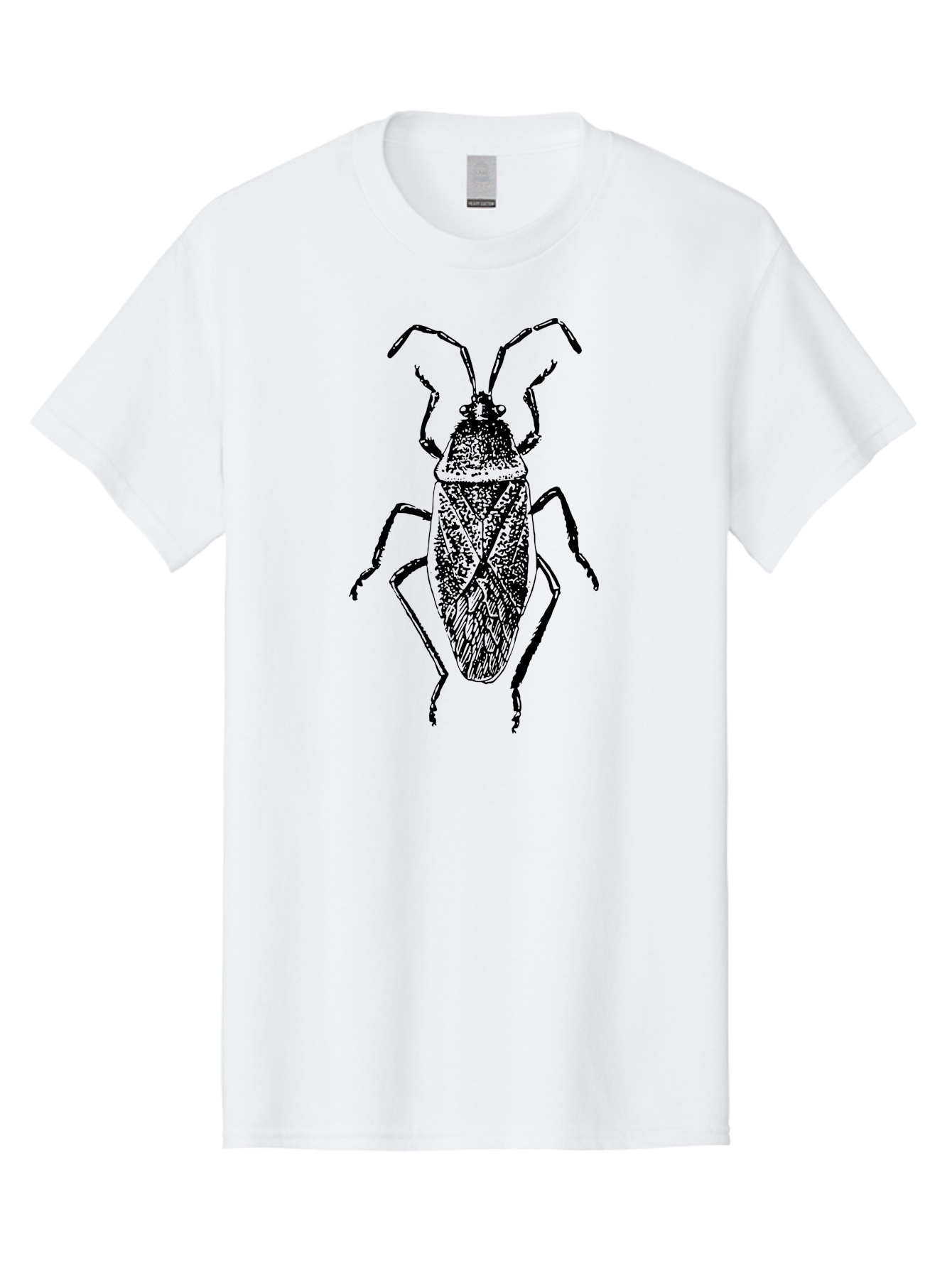 Assassin-Bug Men'S Graphic Tee, 100% Cotton, Comfortable Casual Summer Wear, Machine Washable, Assassin Bug, Insect Anatomy, Entomology Art, Detailed Illustration, Black And Green, Vintage Style, Insect Wings, Bug Legs, Creepy Crawlers Aab497