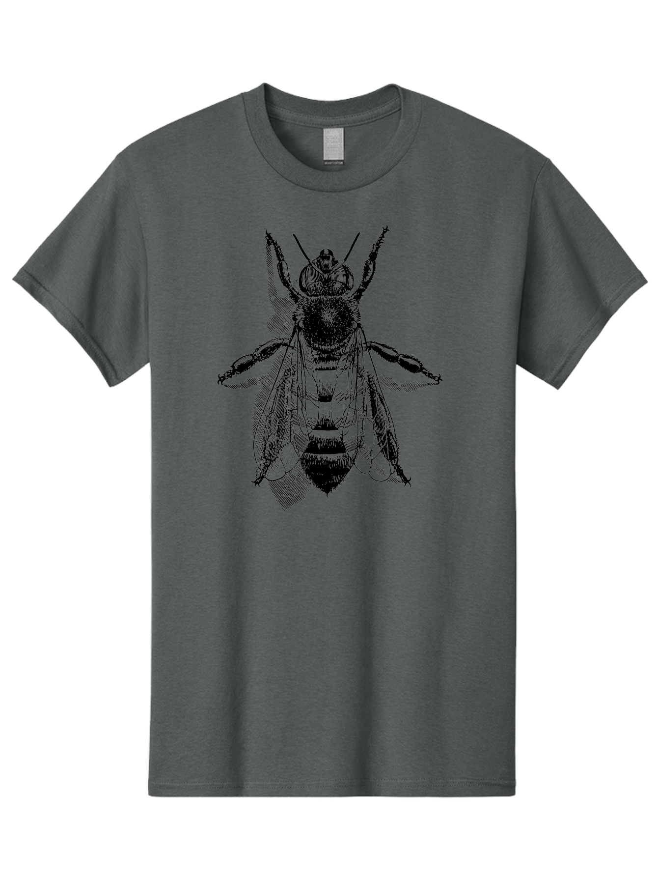 Bee-1 Men'S Graphic Tee, 100% Cotton, Comfortable Casual Summer Wear, Machine Washable, Honey Bee, Insect Anatomy, Detailed Illustration, Black And Green, Bee Species, Entomology Art, Wildlife Graphics, Nature Illustration, Detailed Drawing Aab498