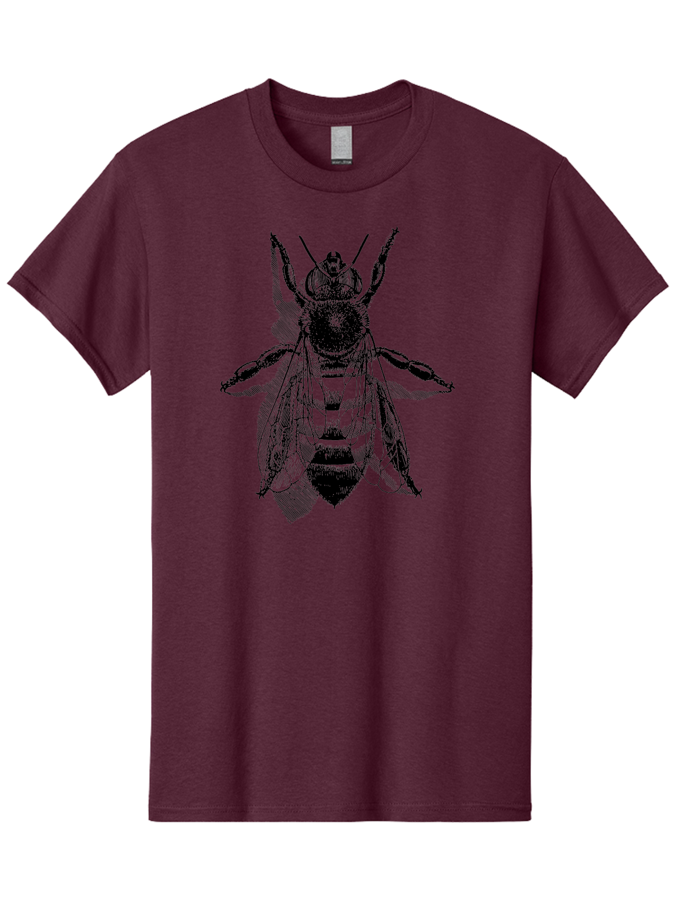 Bee-1 Men'S Graphic Tee, 100% Cotton, Comfortable Casual Summer Wear, Machine Washable, Honey Bee, Insect Anatomy, Detailed Illustration, Black And Green, Bee Species, Entomology Art, Wildlife Graphics, Nature Illustration, Detailed Drawing Aab498