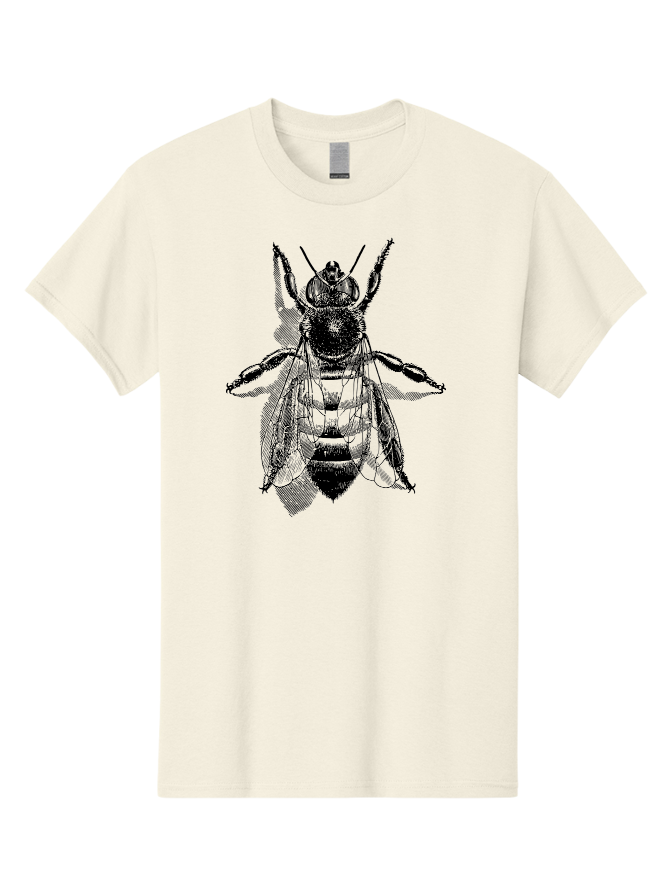 Bee-1 Men'S Graphic Tee, 100% Cotton, Comfortable Casual Summer Wear, Machine Washable, Honey Bee, Insect Anatomy, Detailed Illustration, Black And Green, Bee Species, Entomology Art, Wildlife Graphics, Nature Illustration, Detailed Drawing Aab498