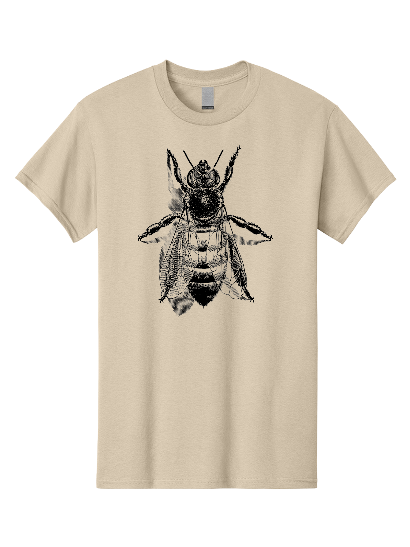 Bee-1 Men'S Graphic Tee, 100% Cotton, Comfortable Casual Summer Wear, Machine Washable, Honey Bee, Insect Anatomy, Detailed Illustration, Black And Green, Bee Species, Entomology Art, Wildlife Graphics, Nature Illustration, Detailed Drawing Aab498
