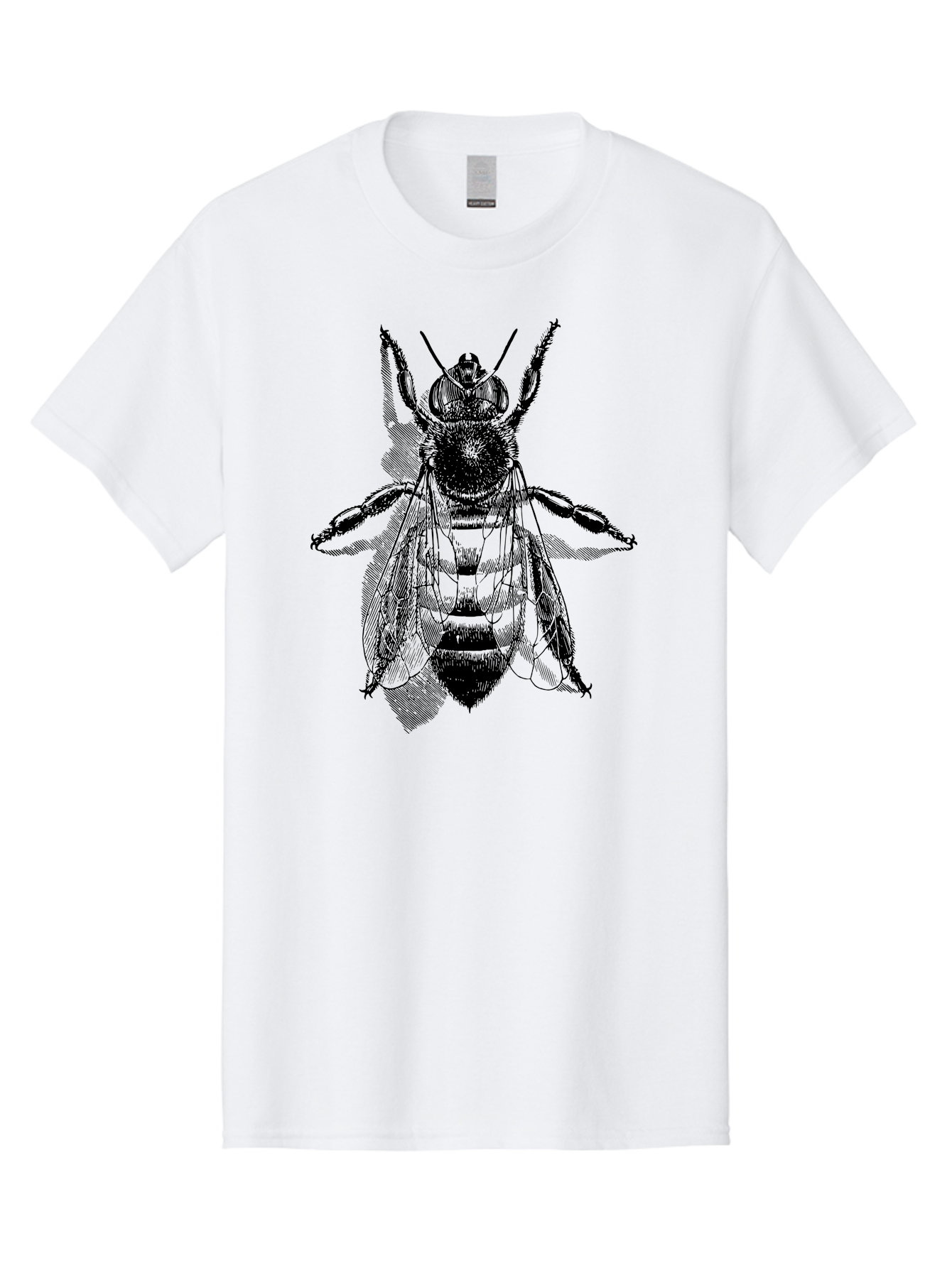 Bee-1 Men'S Graphic Tee, 100% Cotton, Comfortable Casual Summer Wear, Machine Washable, Honey Bee, Insect Anatomy, Detailed Illustration, Black And Green, Bee Species, Entomology Art, Wildlife Graphics, Nature Illustration, Detailed Drawing Aab498