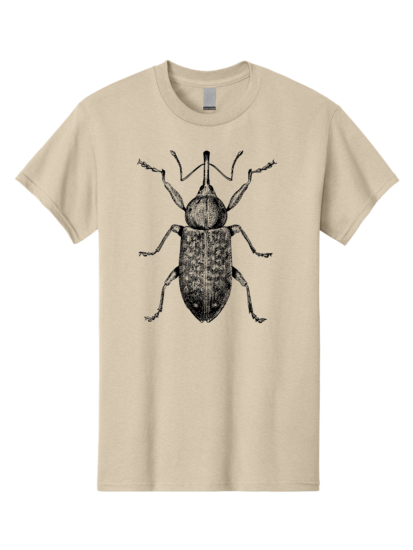 Beetle-2 Men'S Graphic Tee, 100% Cotton, Comfortable Casual Summer Wear, Machine Washable, Boll Weevil, Insect Illustration, Detailed Artwork, Weevil Species, Agricultural Pest, Entomology Art, Black And Green Illustration, Intricate Design Aab505