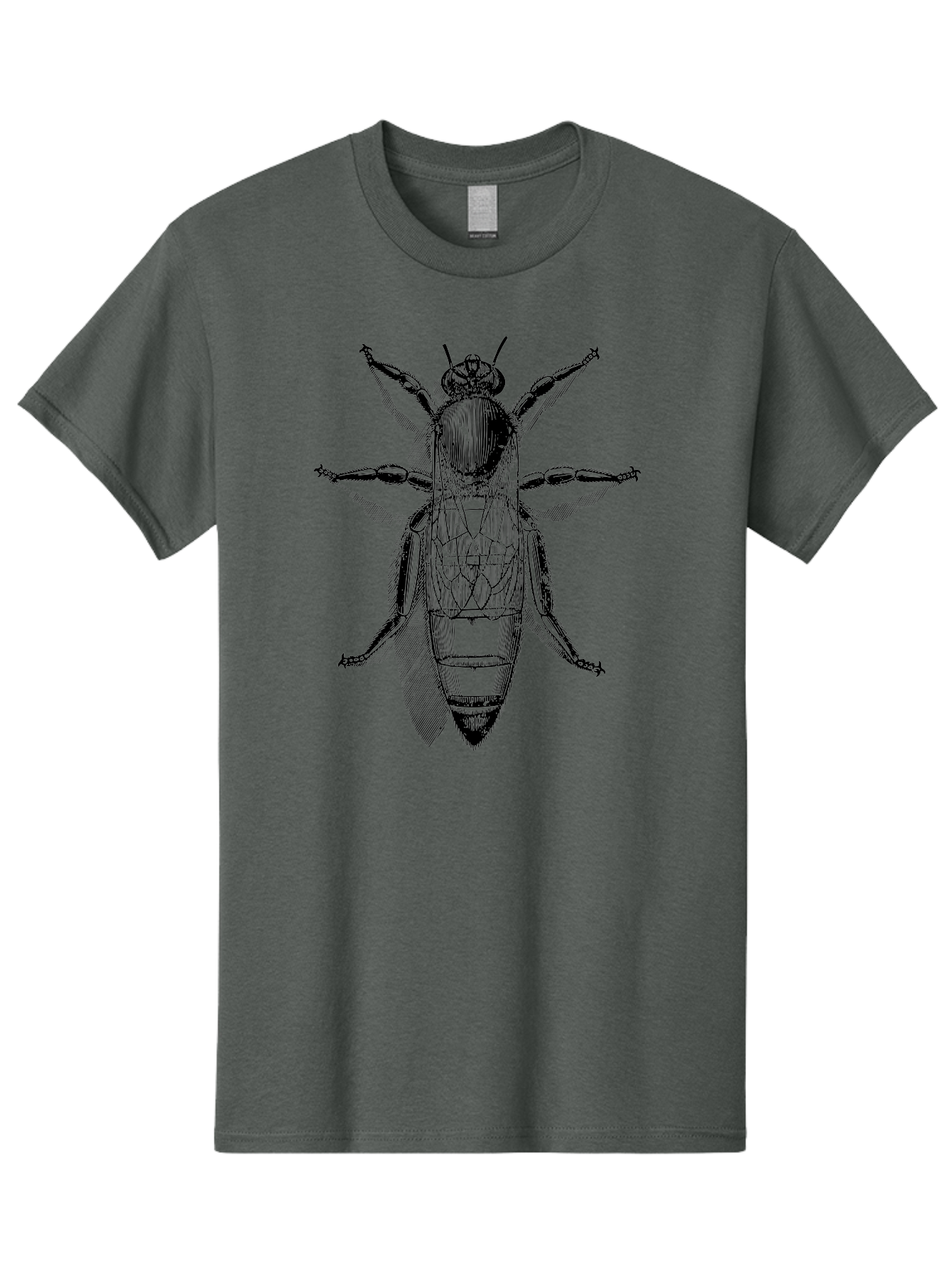 Beetle-Diagram Men'S Graphic Tee, 100% Cotton, Comfortable Casual Summer Wear, Machine Washable, Beetle Diagram, Insect Anatomy, Entomology Illustration, Technical Drawing, Bugs, Insects, Detailed Design, Scientific Artwork, Bug Structure Aab506