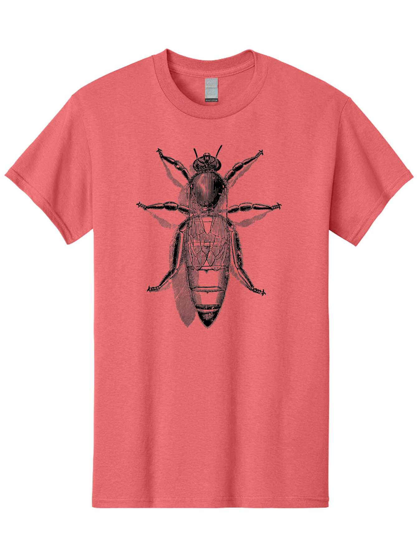 Beetle-Diagram Men'S Graphic Tee, 100% Cotton, Comfortable Casual Summer Wear, Machine Washable, Beetle Diagram, Insect Anatomy, Entomology Illustration, Technical Drawing, Bugs, Insects, Detailed Design, Scientific Artwork, Bug Structure Aab506