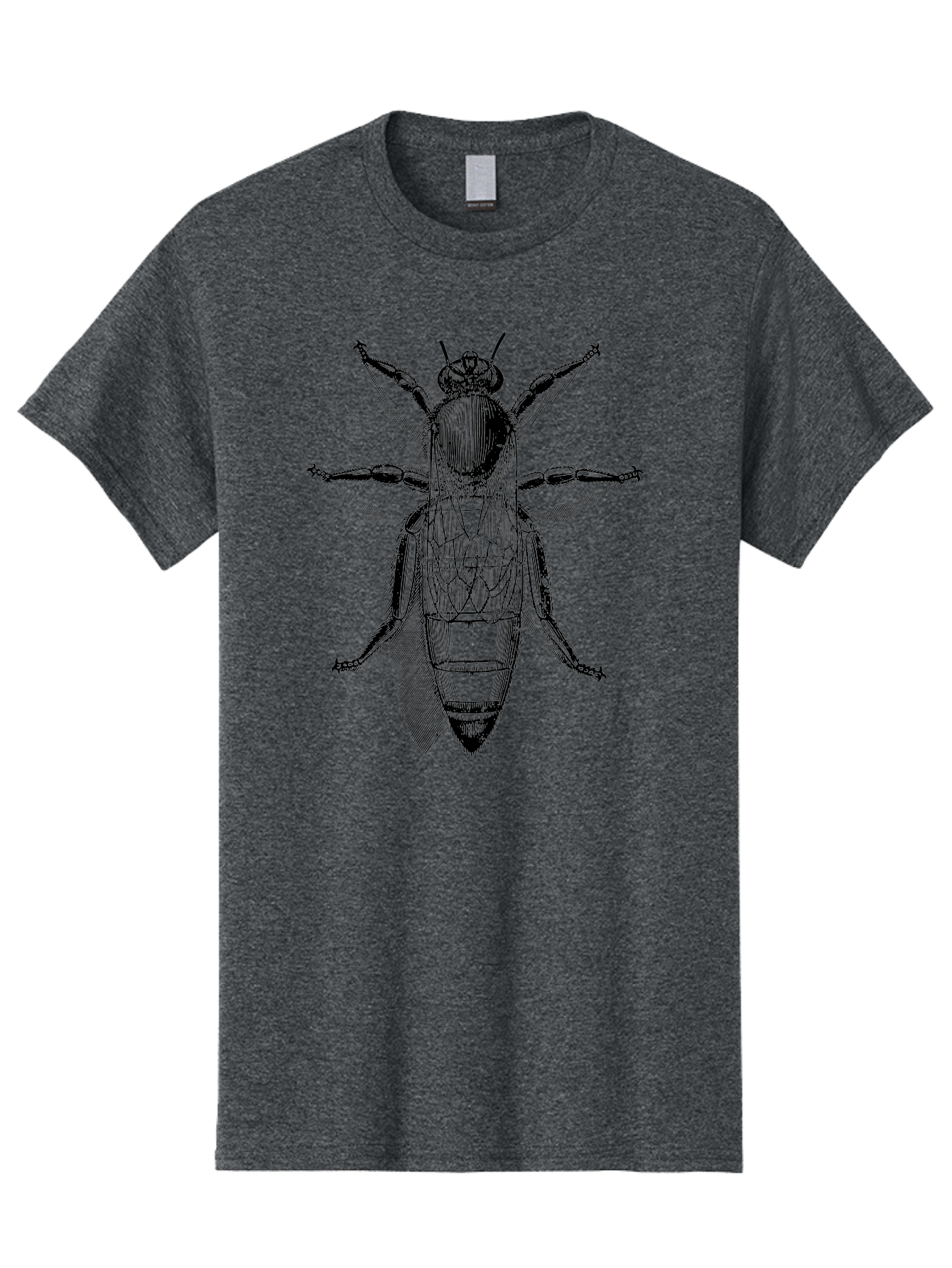 Beetle-Diagram Men'S Graphic Tee, 100% Cotton, Comfortable Casual Summer Wear, Machine Washable, Beetle Diagram, Insect Anatomy, Entomology Illustration, Technical Drawing, Bugs, Insects, Detailed Design, Scientific Artwork, Bug Structure Aab506