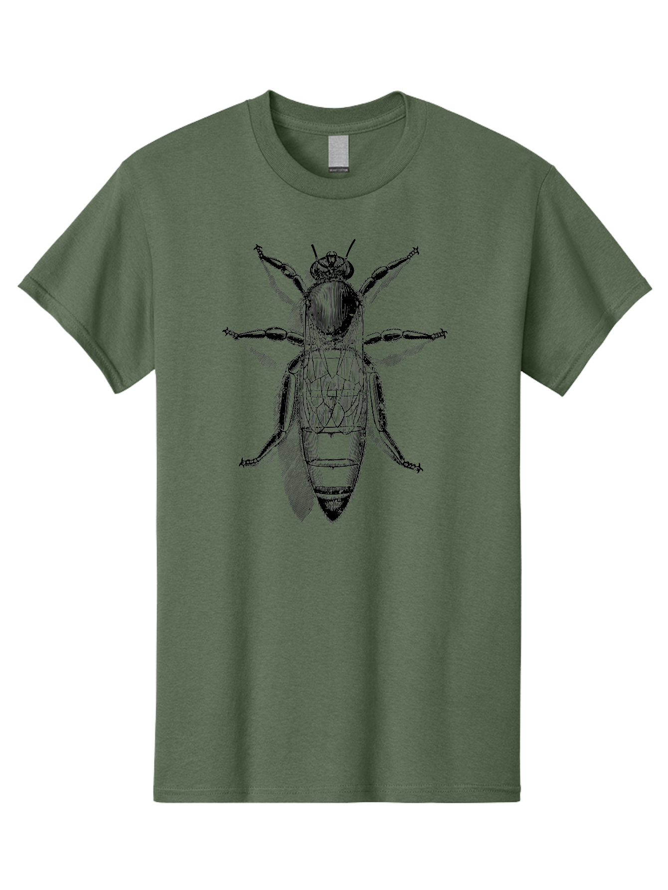 Beetle-Diagram Men'S Graphic Tee, 100% Cotton, Comfortable Casual Summer Wear, Machine Washable, Beetle Diagram, Insect Anatomy, Entomology Illustration, Technical Drawing, Bugs, Insects, Detailed Design, Scientific Artwork, Bug Structure Aab506