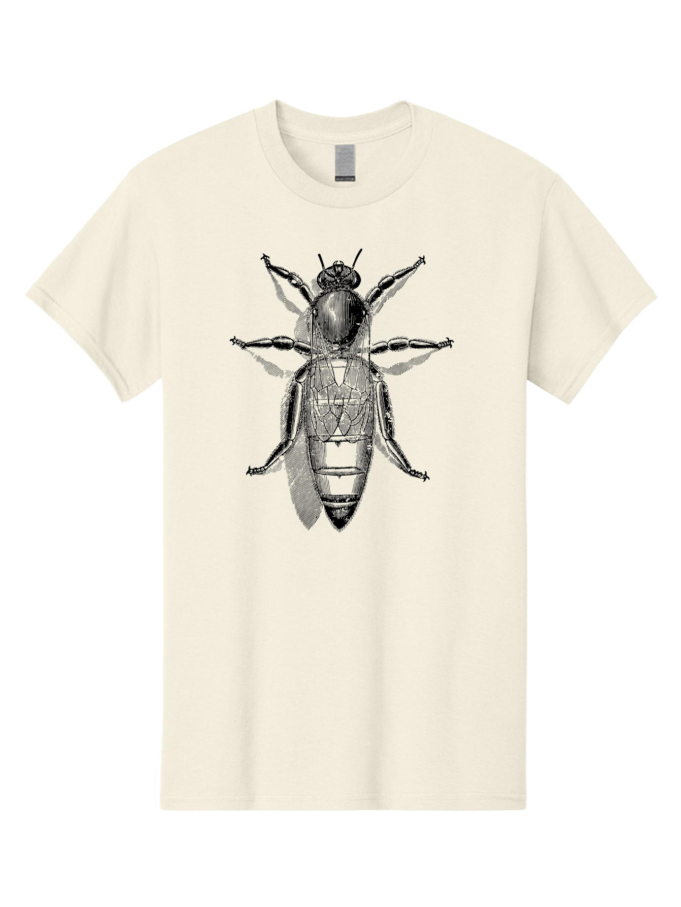 Beetle-Diagram Men'S Graphic Tee, 100% Cotton, Comfortable Casual Summer Wear, Machine Washable, Beetle Diagram, Insect Anatomy, Entomology Illustration, Technical Drawing, Bugs, Insects, Detailed Design, Scientific Artwork, Bug Structure Aab506