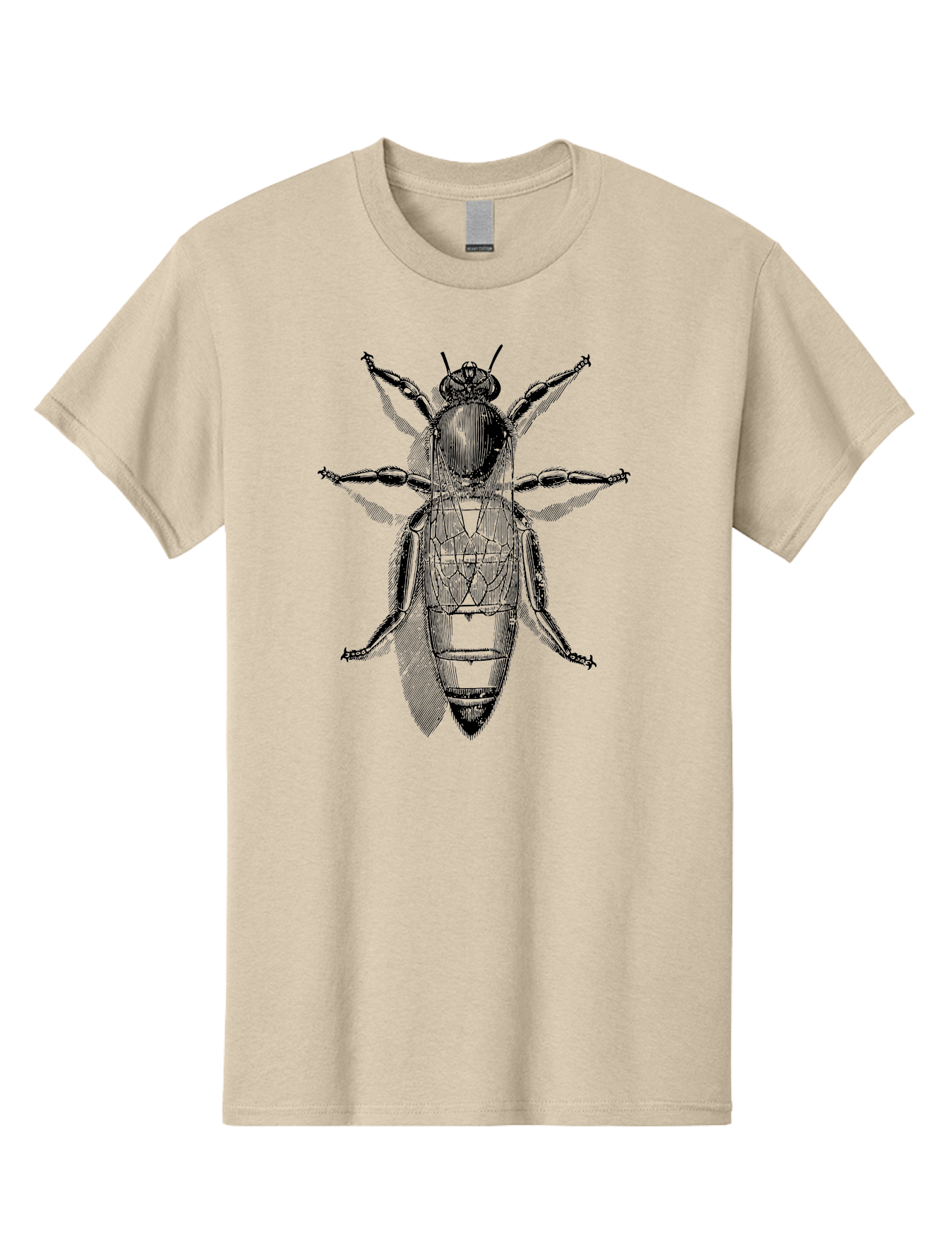 Beetle-Diagram Men'S Graphic Tee, 100% Cotton, Comfortable Casual Summer Wear, Machine Washable, Beetle Diagram, Insect Anatomy, Entomology Illustration, Technical Drawing, Bugs, Insects, Detailed Design, Scientific Artwork, Bug Structure Aab506