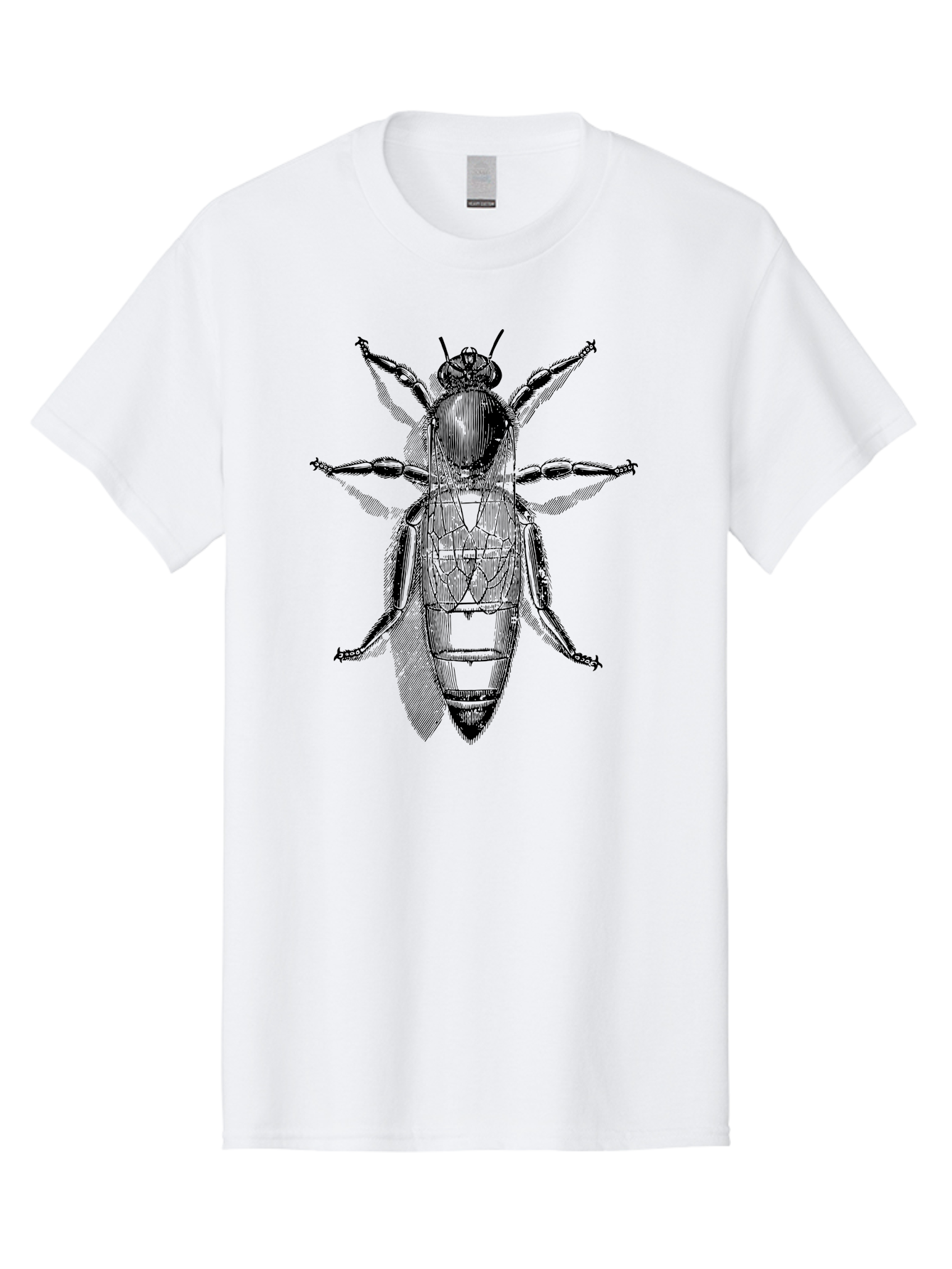 Beetle-Diagram Men'S Graphic Tee, 100% Cotton, Comfortable Casual Summer Wear, Machine Washable, Beetle Diagram, Insect Anatomy, Entomology Illustration, Technical Drawing, Bugs, Insects, Detailed Design, Scientific Artwork, Bug Structure Aab506