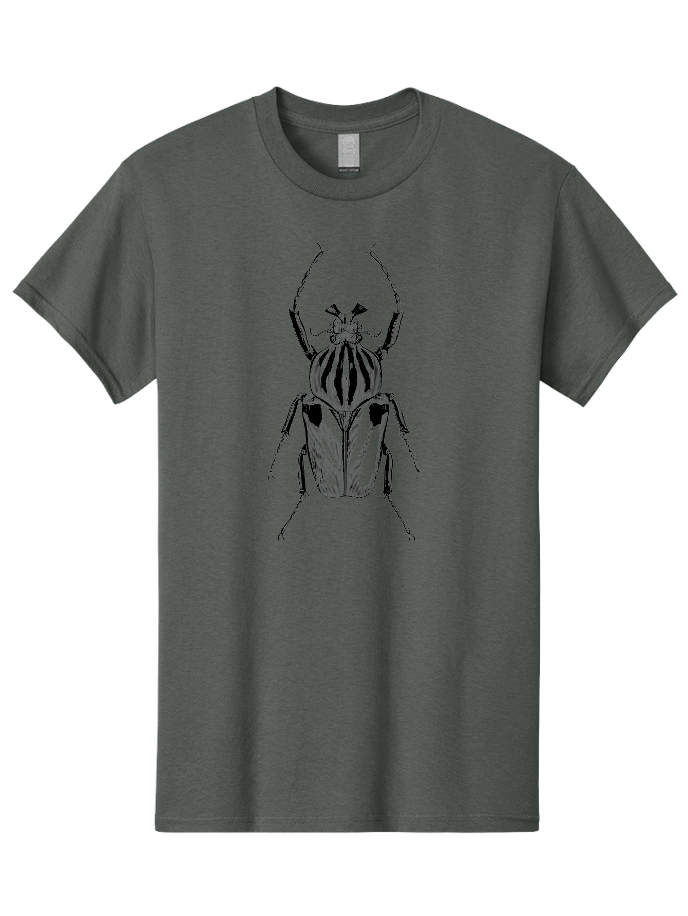 Beetle-Illustration-1 Men'S Graphic Tee, 100% Cotton, Comfortable Casual Summer Wear, Machine Washable, Beetle Illustration, Insect Art, Entomology, Striped Beetle, Black And Green, Detailed Drawing, Wildlife Illustration, Bug Graphics Aab507