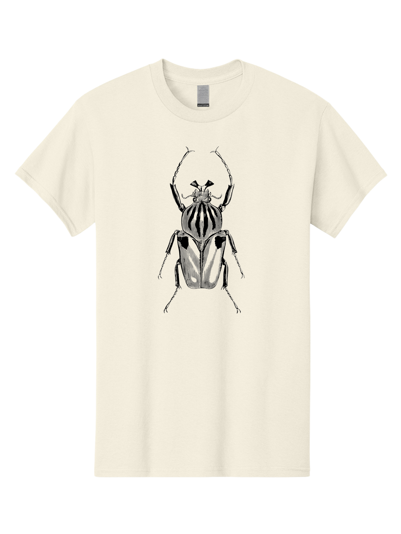 Beetle-Illustration-1 Men'S Graphic Tee, 100% Cotton, Comfortable Casual Summer Wear, Machine Washable, Beetle Illustration, Insect Art, Entomology, Striped Beetle, Black And Green, Detailed Drawing, Wildlife Illustration, Bug Graphics Aab507