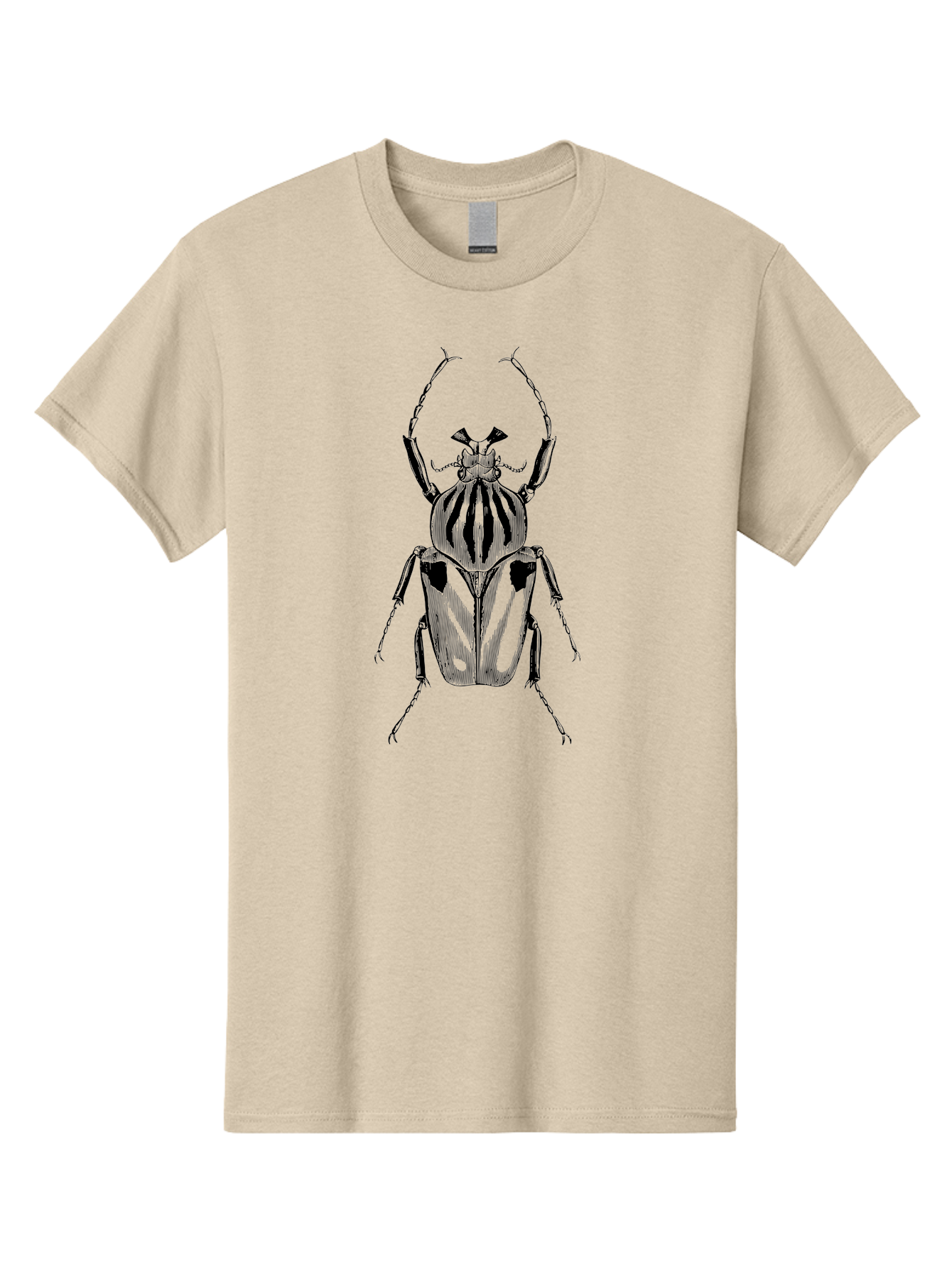 Beetle-Illustration-1 Men'S Graphic Tee, 100% Cotton, Comfortable Casual Summer Wear, Machine Washable, Beetle Illustration, Insect Art, Entomology, Striped Beetle, Black And Green, Detailed Drawing, Wildlife Illustration, Bug Graphics Aab507