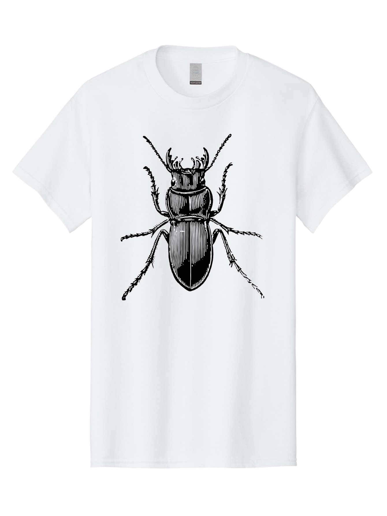 Beetle-Illustration-2 Men'S Graphic Tee, 100% Cotton, Comfortable Casual Summer Wear, Machine Washable, Beetle Illustration, Black Insect, Detailed Drawing, Entomology Art, Insect Anatomy, Wildlife Graphic, Bug Design, Ornate Beetle Aab508
