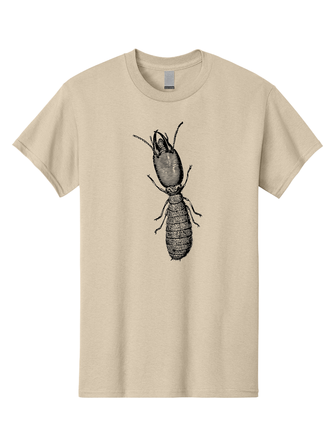 Beetle-Illustration Men'S Graphic Tee, 100% Cotton, Comfortable Casual Summer Wear, Machine Washable, Insect Anatomy, Entomology Illustration, Beetle Species, Detailed Drawing, Scientific Artwork, Insect Morphology, Nature Study Aab509