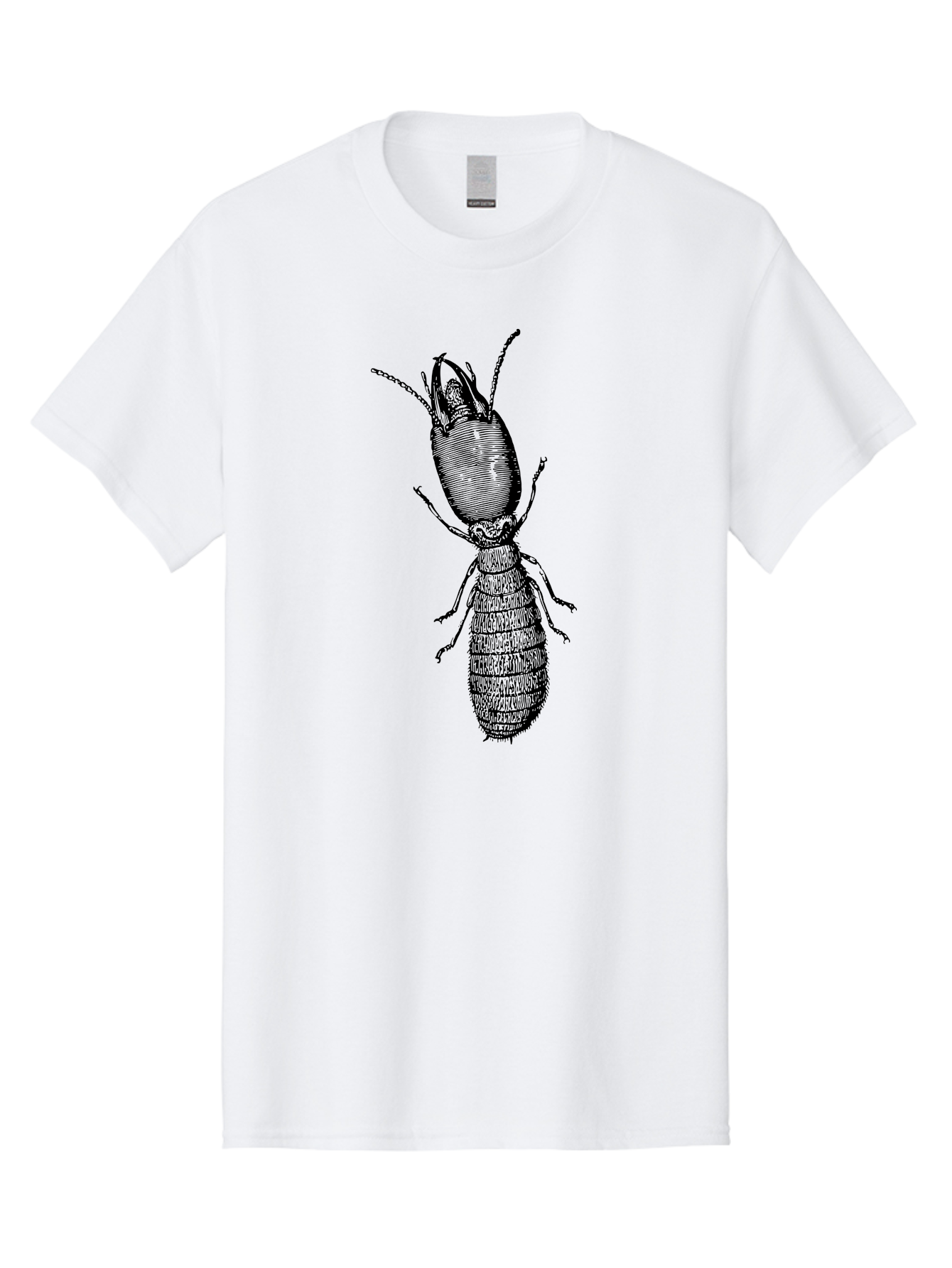 Beetle-Illustration Men'S Graphic Tee, 100% Cotton, Comfortable Casual Summer Wear, Machine Washable, Insect Anatomy, Entomology Illustration, Beetle Species, Detailed Drawing, Scientific Artwork, Insect Morphology, Nature Study Aab509