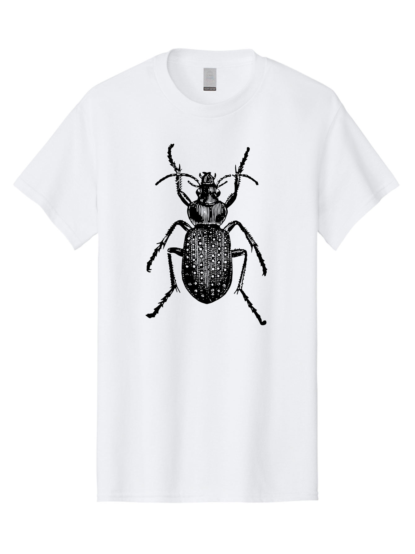 Beetle Men'S Graphic Tee, 100% Cotton, Comfortable Casual Summer Wear, Machine Washable, Black Beetle, Insect Illustration, Detailed Drawing, Entomology Art, Bug Graphic, Beetle Silhouette, Six Legs, Antennae, Insect Anatomy, Ornate Details Aab510