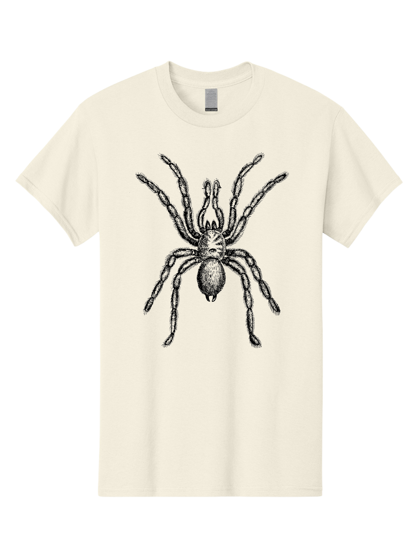 Black-Widow Men'S Graphic Tee, 100% Cotton, Comfortable Casual Summer Wear, Machine Washable, Black Widow Spider, Arachnid, Eight Legs, Venomous Spider, Spider Illustration, Detailed Drawing, Black And Green, Spider Art Aab511