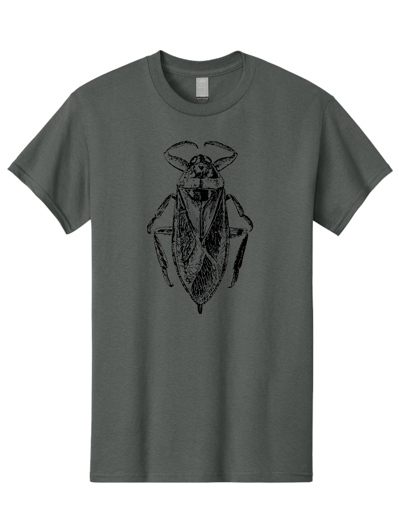 Bug-Illustration Men'S Graphic Tee, 100% Cotton, Comfortable Casual Summer Wear, Machine Washable, Insect Illustration, Entomology Art, Bug Drawing, Water Bug, Insect Anatomy, Wildlife Illustration, Detailed Artwork, Realistic Bug, Aab512