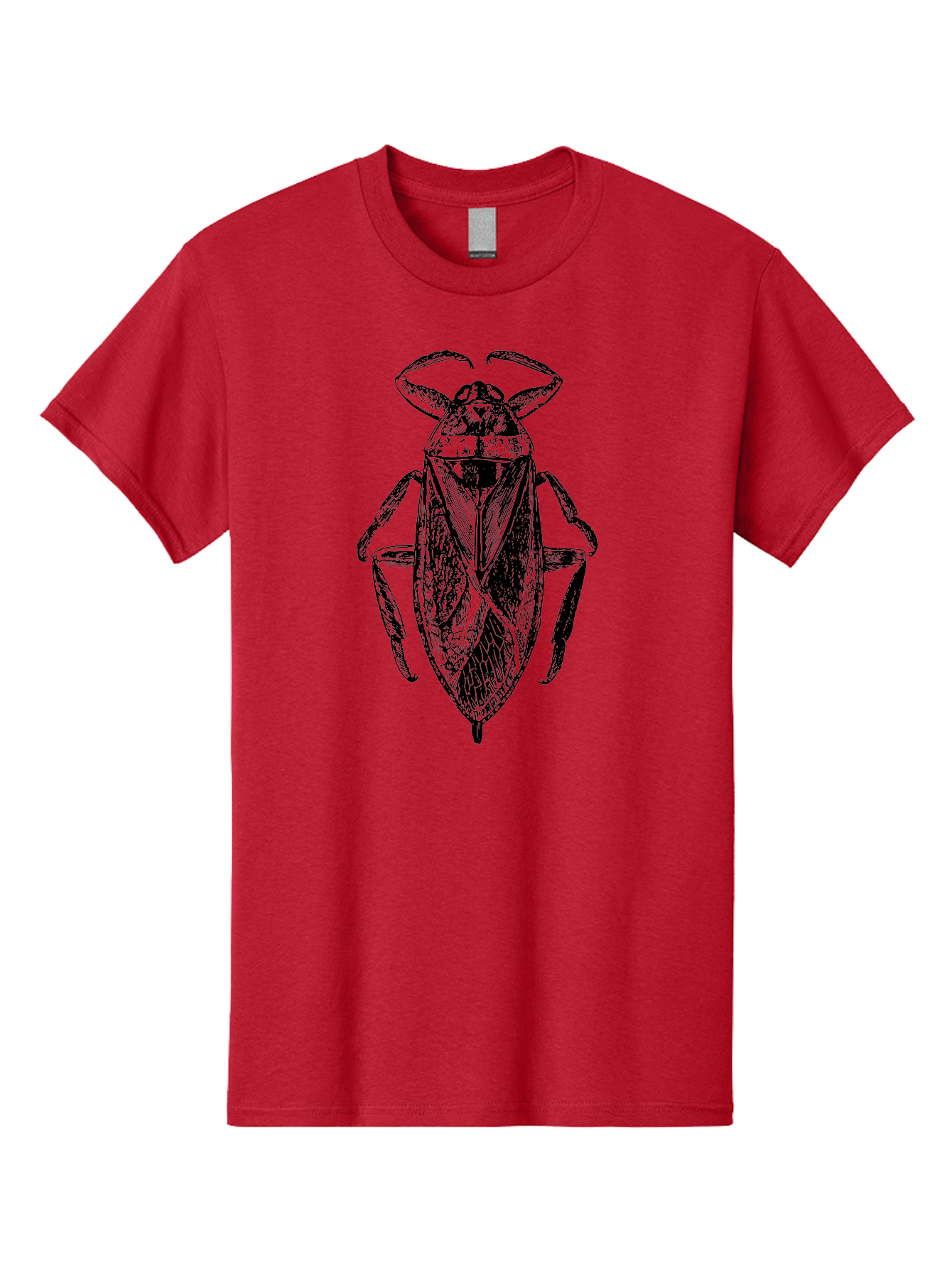 Bug-Illustration Men'S Graphic Tee, 100% Cotton, Comfortable Casual Summer Wear, Machine Washable, Insect Illustration, Entomology Art, Bug Drawing, Water Bug, Insect Anatomy, Wildlife Illustration, Detailed Artwork, Realistic Bug, Aab512