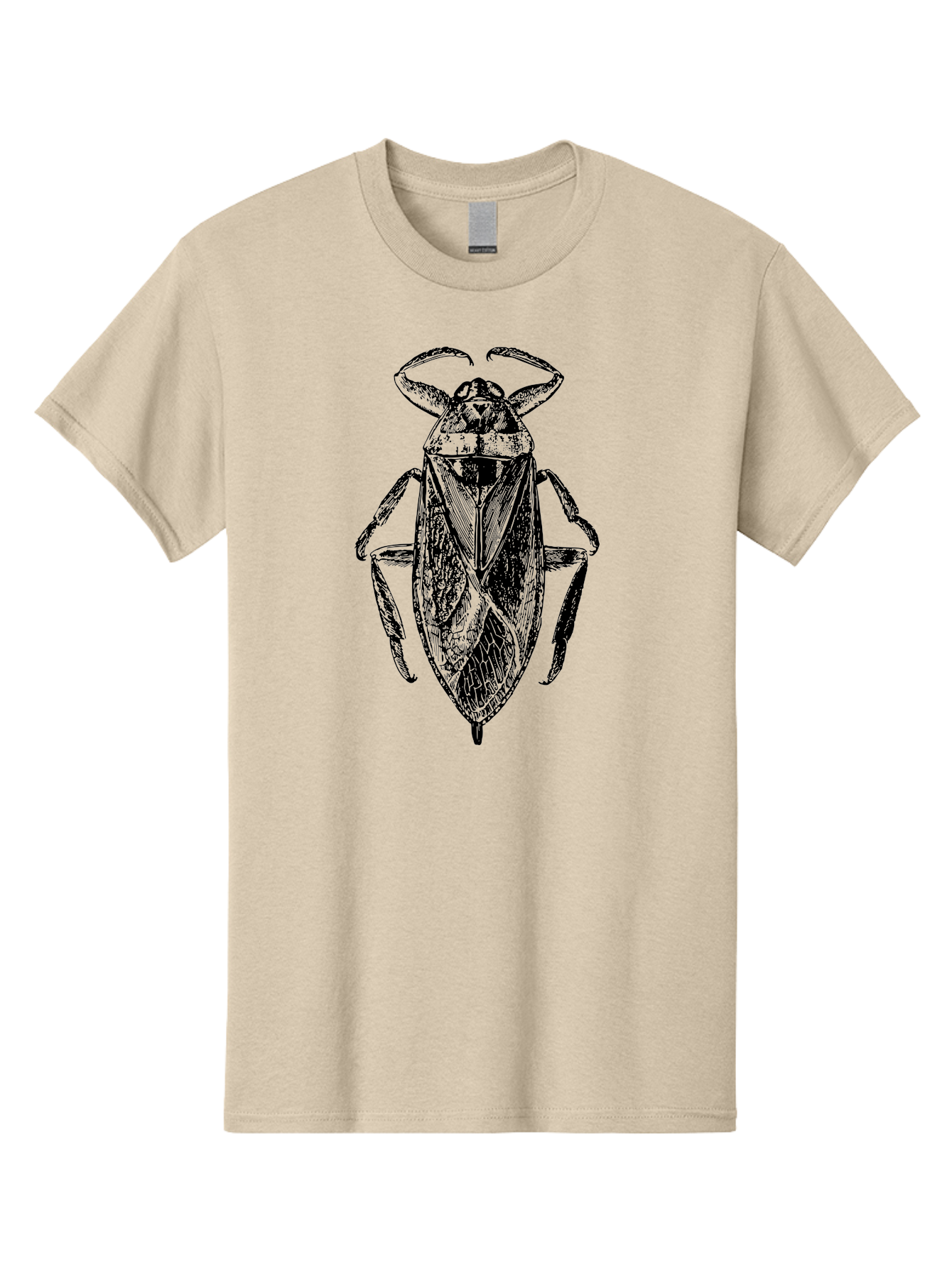Bug-Illustration Men'S Graphic Tee, 100% Cotton, Comfortable Casual Summer Wear, Machine Washable, Insect Illustration, Entomology Art, Bug Drawing, Water Bug, Insect Anatomy, Wildlife Illustration, Detailed Artwork, Realistic Bug, Aab512