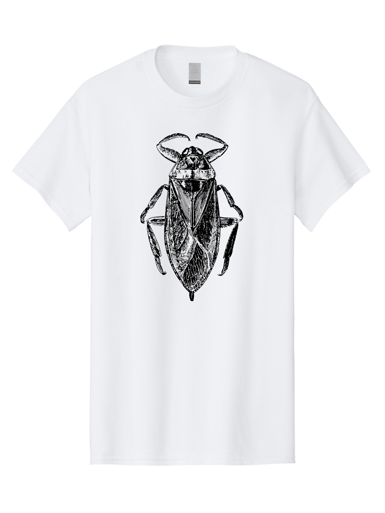 Bug-Illustration Men'S Graphic Tee, 100% Cotton, Comfortable Casual Summer Wear, Machine Washable, Insect Illustration, Entomology Art, Bug Drawing, Water Bug, Insect Anatomy, Wildlife Illustration, Detailed Artwork, Realistic Bug, Aab512