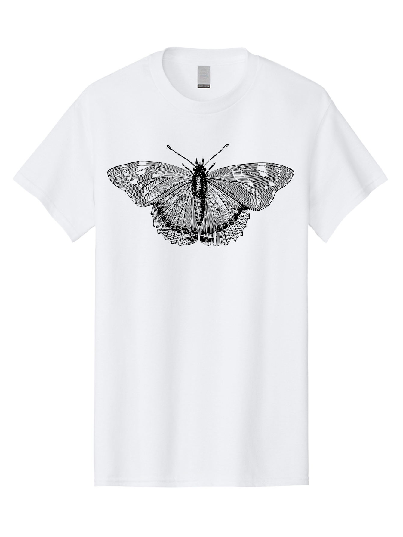 Butterfly-1 Men'S Graphic Tee, 100% Cotton, Comfortable Casual Summer Wear, Machine Washable, Butterfly With Open Wings, Detailed Illustration, Insect Art, Wing Patterns, Insect Anatomy, Natural Design, Delicate Lines Aab513