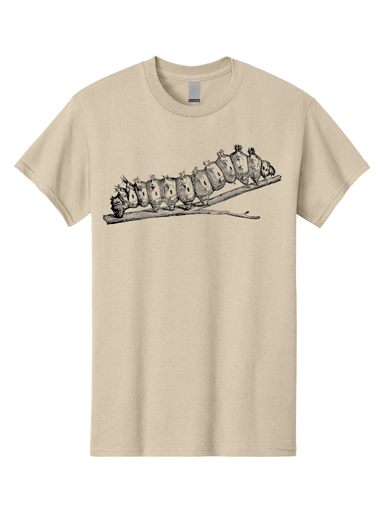 Caterpillar-On-Branch Men'S Graphic Tee, 100% Cotton, Comfortable Casual Summer Wear, Machine Washable, Caterpillar On Branch, Insect Metamorphosis, Garden Pests, Butterfly Life Cycle, Caterpillar Stages, Insect Illustration, Entomology Art Aab518