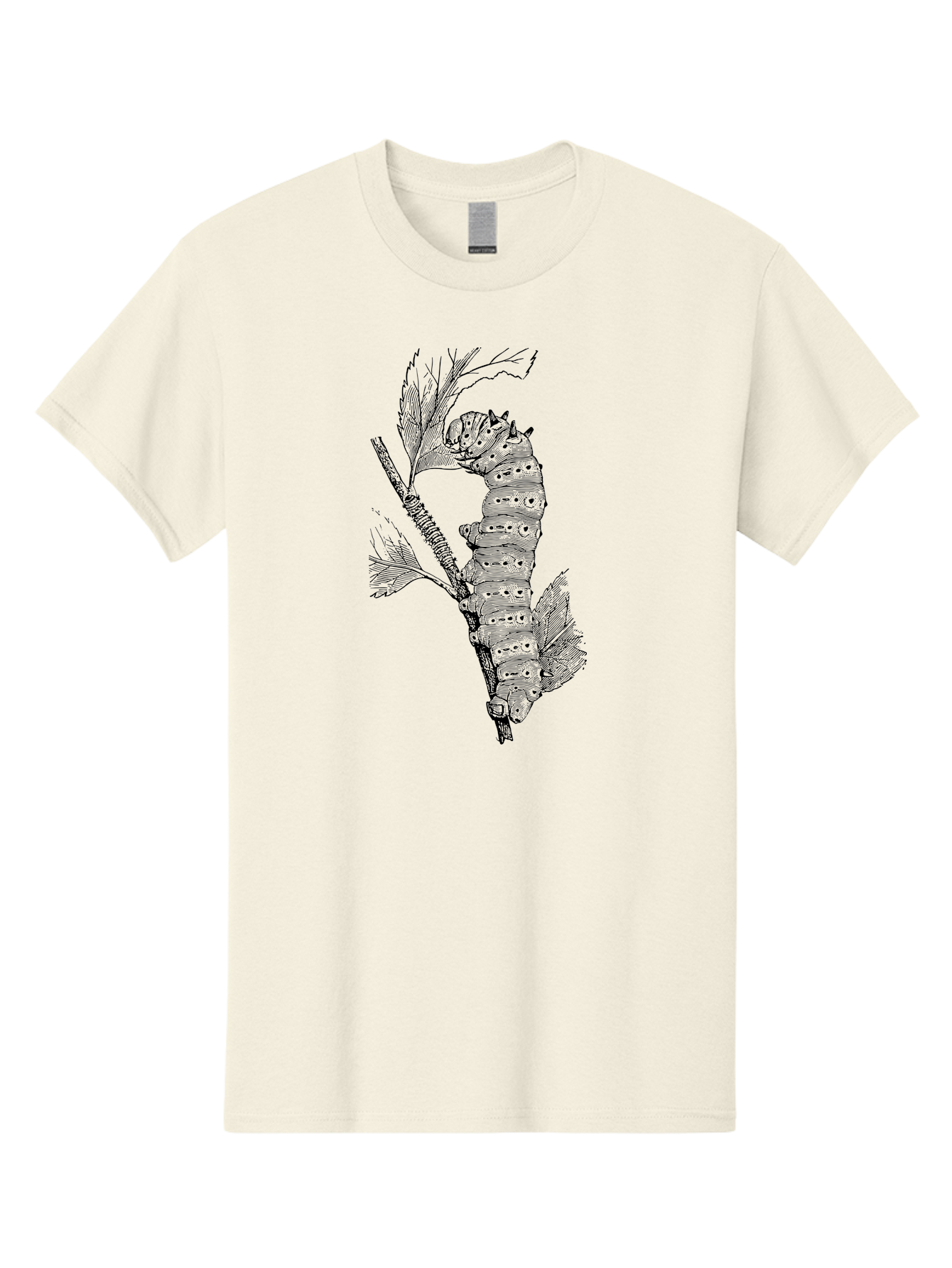 Caterpillar-On-Leaf-1 Men'S Graphic Tee, 100% Cotton, Comfortable Casual Summer Wear, Machine Washable, Caterpillar Eating Leaf, Insect Metamorphosis, Wildlife Illustration, Caterpillar Stage, Leaf Damage, Insect Life Cycle, Garden Pest Aab519