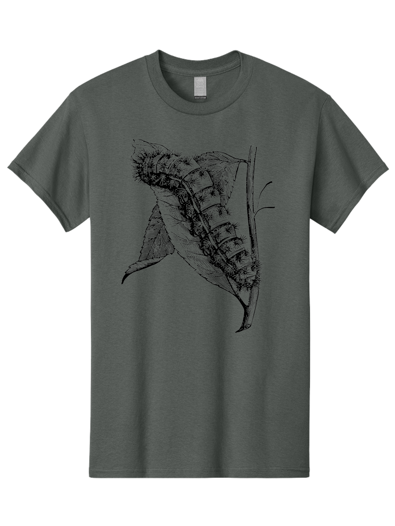 Caterpillar-On-Leaf Men'S Graphic Tee, 100% Cotton, Comfortable Casual Summer Wear, Machine Washable, Caterpillar On A Leaf, Insect Life Cycle, Metamorphosis, Nature Illustration, Botanical Art, Wildlife, Detailed Drawing, Spiky Caterpillar, Aab520
