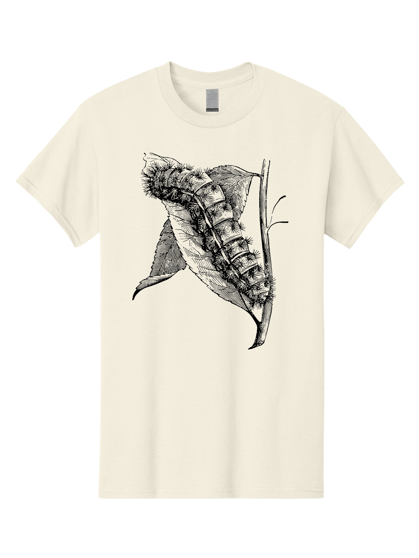 Caterpillar-On-Leaf Men'S Graphic Tee, 100% Cotton, Comfortable Casual Summer Wear, Machine Washable, Caterpillar On A Leaf, Insect Life Cycle, Metamorphosis, Nature Illustration, Botanical Art, Wildlife, Detailed Drawing, Spiky Caterpillar, Aab520