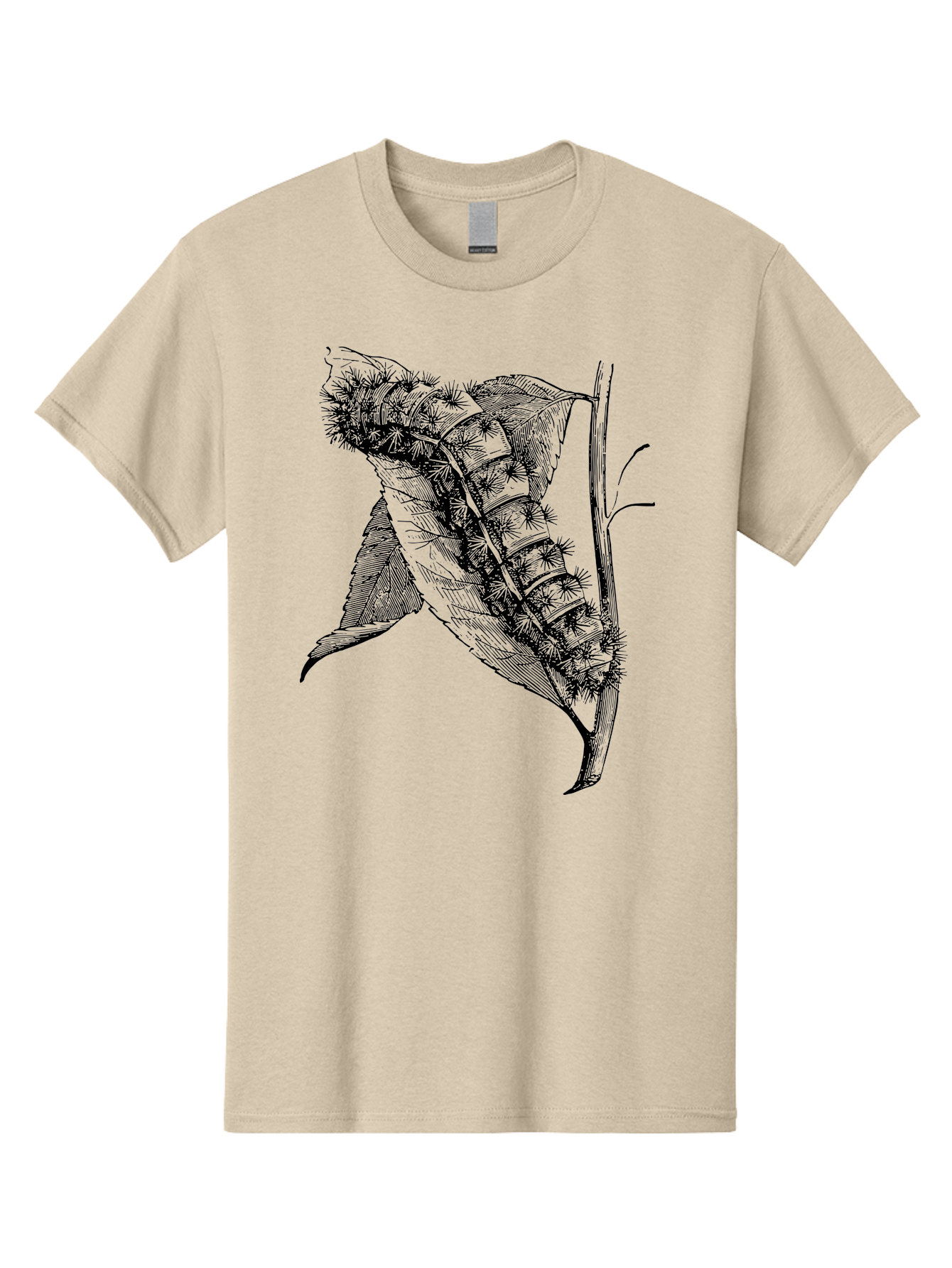 Caterpillar-On-Leaf Men'S Graphic Tee, 100% Cotton, Comfortable Casual Summer Wear, Machine Washable, Caterpillar On A Leaf, Insect Life Cycle, Metamorphosis, Nature Illustration, Botanical Art, Wildlife, Detailed Drawing, Spiky Caterpillar, Aab520
