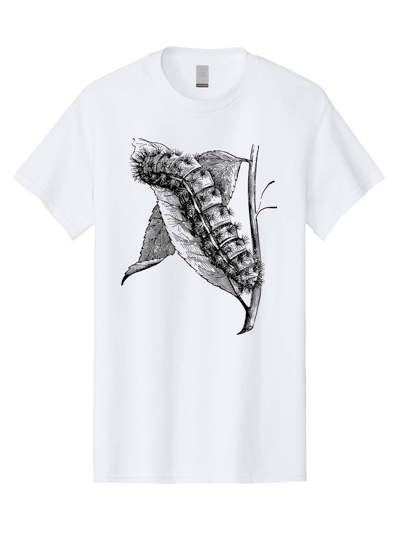 Caterpillar-On-Leaf Men'S Graphic Tee, 100% Cotton, Comfortable Casual Summer Wear, Machine Washable, Caterpillar On A Leaf, Insect Life Cycle, Metamorphosis, Nature Illustration, Botanical Art, Wildlife, Detailed Drawing, Spiky Caterpillar, Aab520