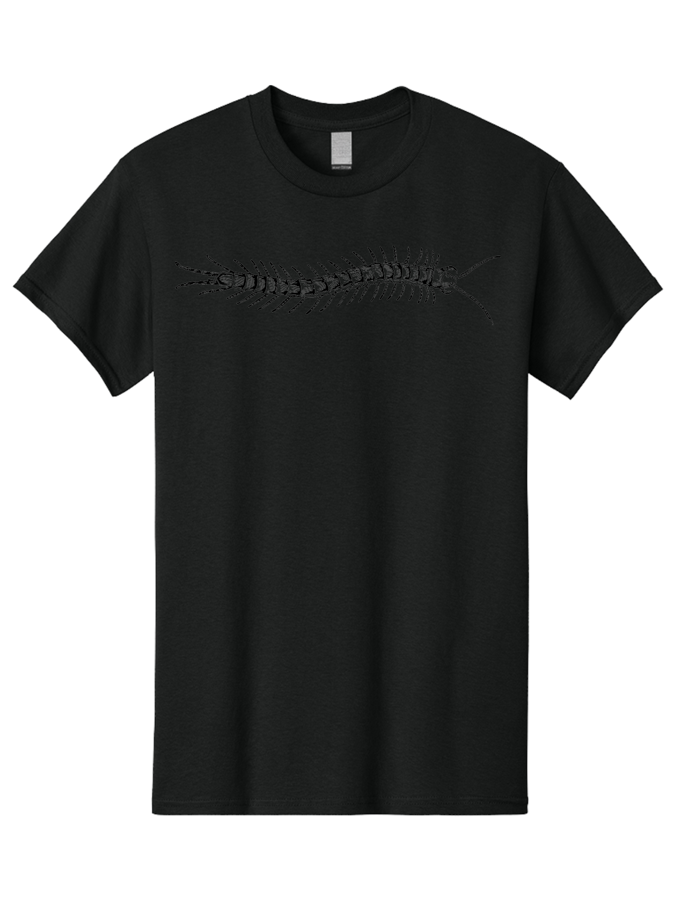 Centipede-1 Men'S Graphic Tee, 100% Cotton, Comfortable Casual Summer Wear, Machine Washable, Centipede, Insect, Arthropod, Segmented Body, Multiple Legs, Long Antennae, Creepy Crawlers, Entomology, Wildlife, Fauna Aab521