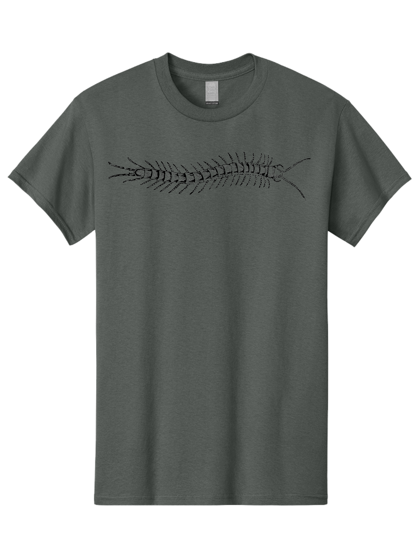 Centipede-1 Men'S Graphic Tee, 100% Cotton, Comfortable Casual Summer Wear, Machine Washable, Centipede, Insect, Arthropod, Segmented Body, Multiple Legs, Long Antennae, Creepy Crawlers, Entomology, Wildlife, Fauna Aab521