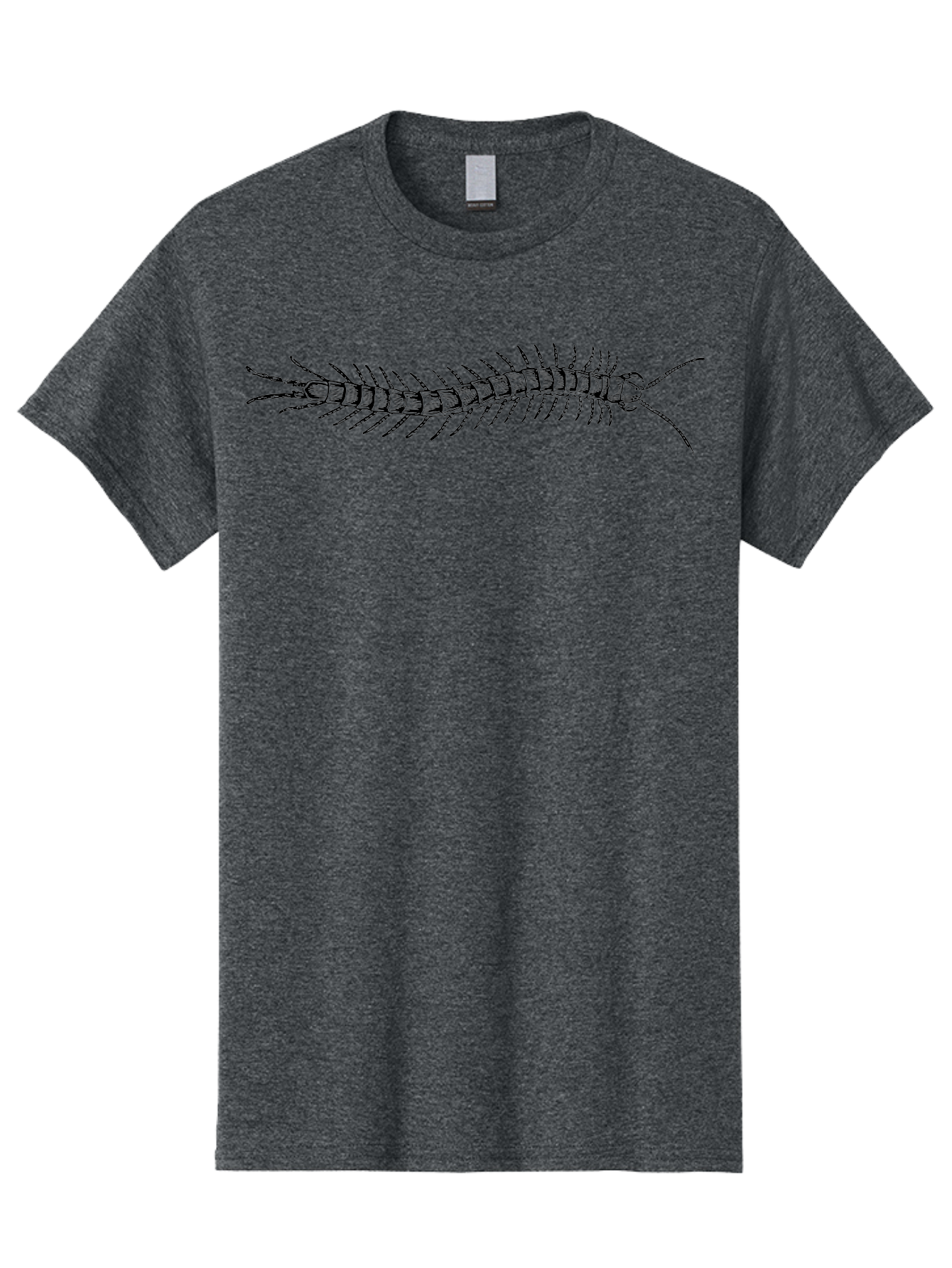 Centipede-1 Men'S Graphic Tee, 100% Cotton, Comfortable Casual Summer Wear, Machine Washable, Centipede, Insect, Arthropod, Segmented Body, Multiple Legs, Long Antennae, Creepy Crawlers, Entomology, Wildlife, Fauna Aab521