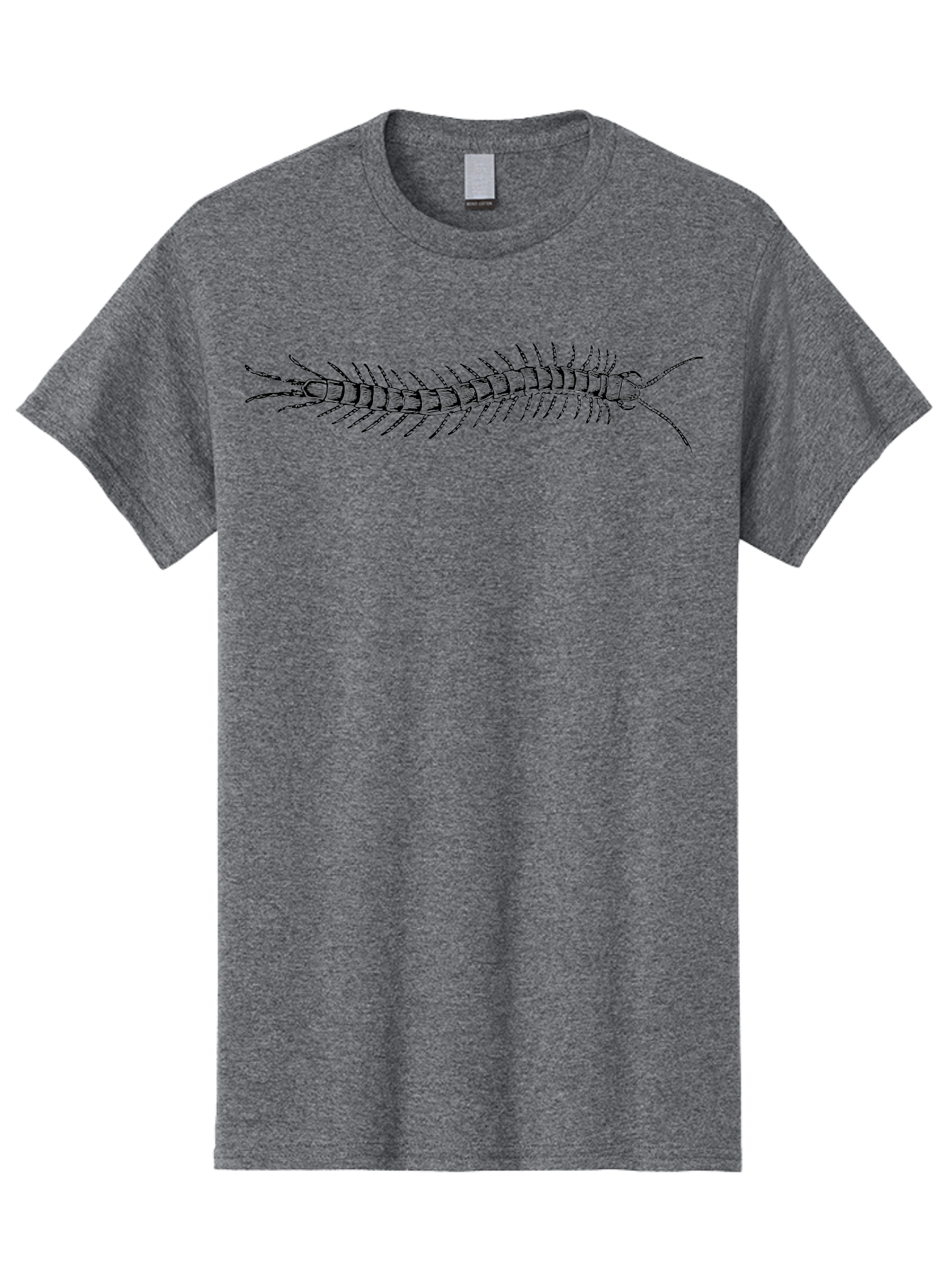 Centipede-1 Men'S Graphic Tee, 100% Cotton, Comfortable Casual Summer Wear, Machine Washable, Centipede, Insect, Arthropod, Segmented Body, Multiple Legs, Long Antennae, Creepy Crawlers, Entomology, Wildlife, Fauna Aab521