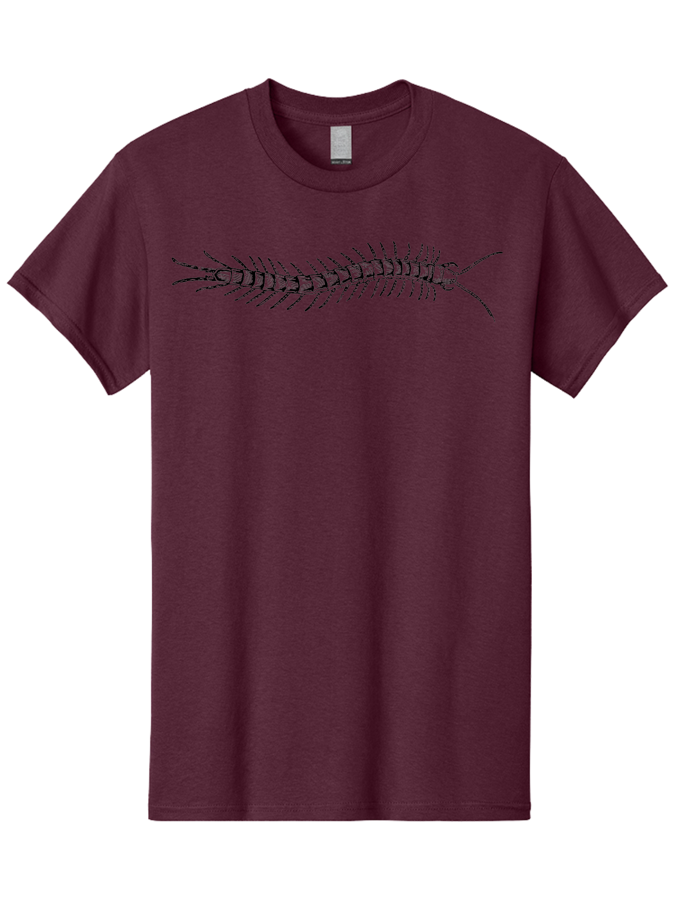 Centipede-1 Men'S Graphic Tee, 100% Cotton, Comfortable Casual Summer Wear, Machine Washable, Centipede, Insect, Arthropod, Segmented Body, Multiple Legs, Long Antennae, Creepy Crawlers, Entomology, Wildlife, Fauna Aab521