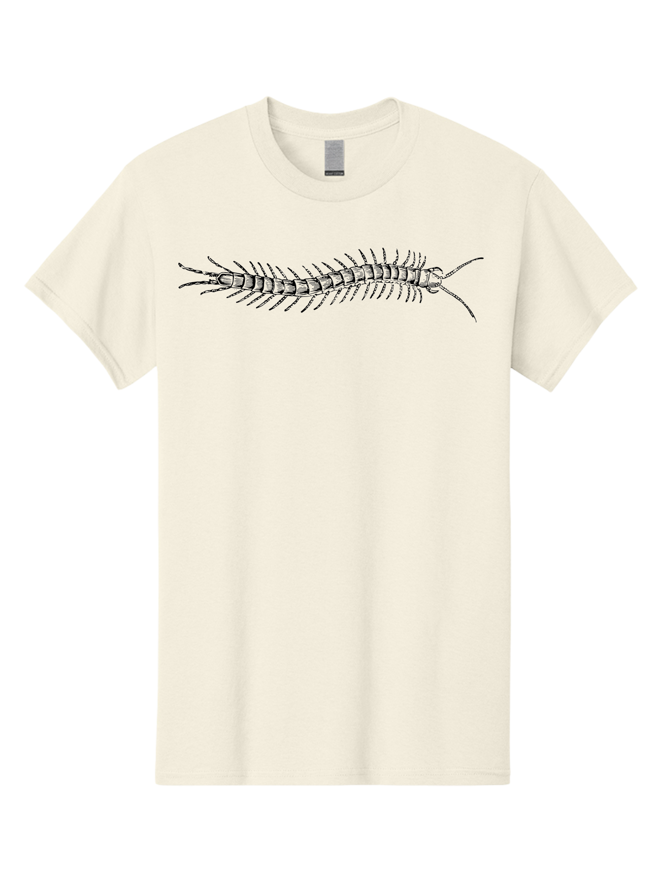 Centipede-1 Men'S Graphic Tee, 100% Cotton, Comfortable Casual Summer Wear, Machine Washable, Centipede, Insect, Arthropod, Segmented Body, Multiple Legs, Long Antennae, Creepy Crawlers, Entomology, Wildlife, Fauna Aab521