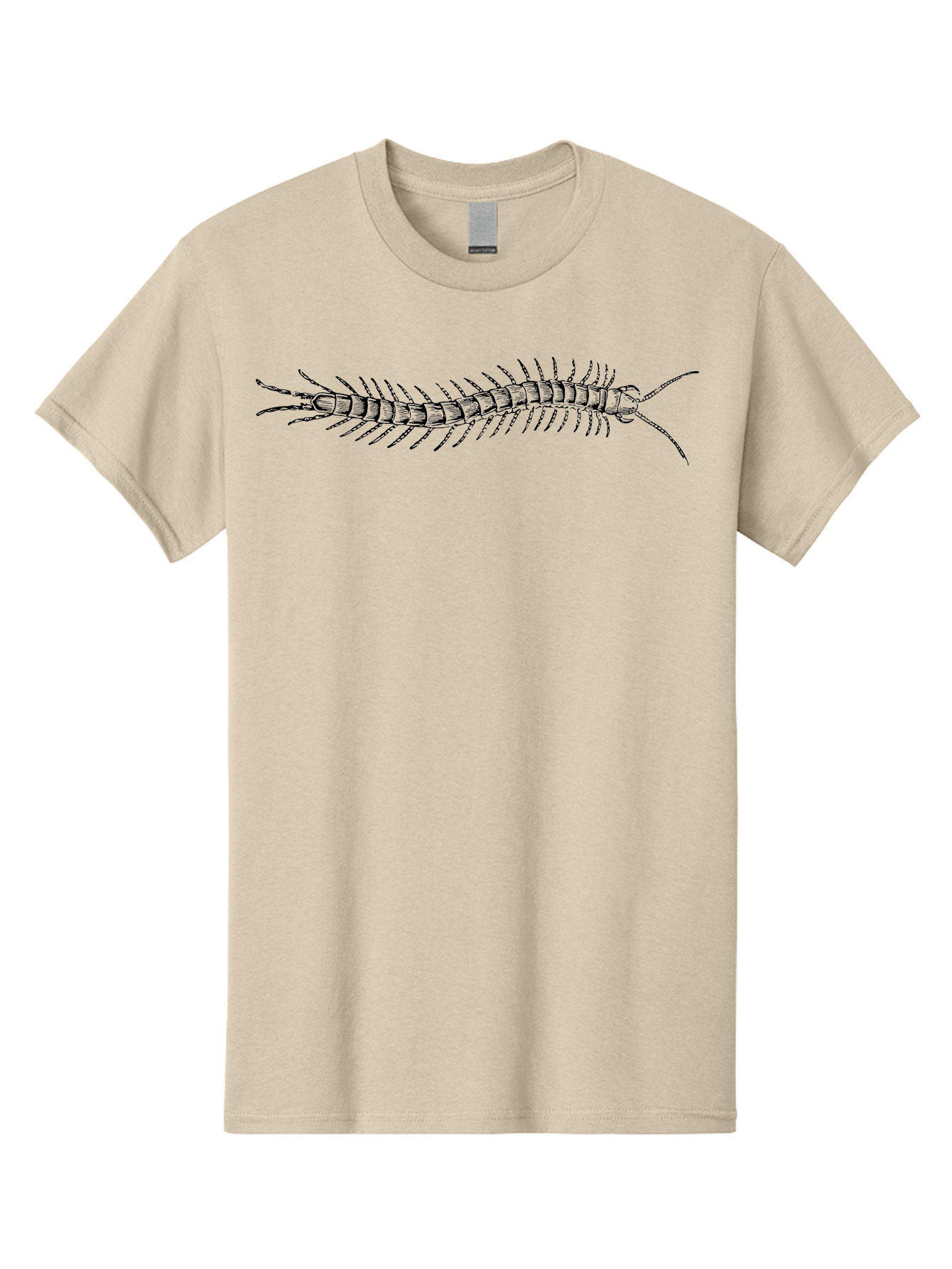 Centipede-1 Men'S Graphic Tee, 100% Cotton, Comfortable Casual Summer Wear, Machine Washable, Centipede, Insect, Arthropod, Segmented Body, Multiple Legs, Long Antennae, Creepy Crawlers, Entomology, Wildlife, Fauna Aab521