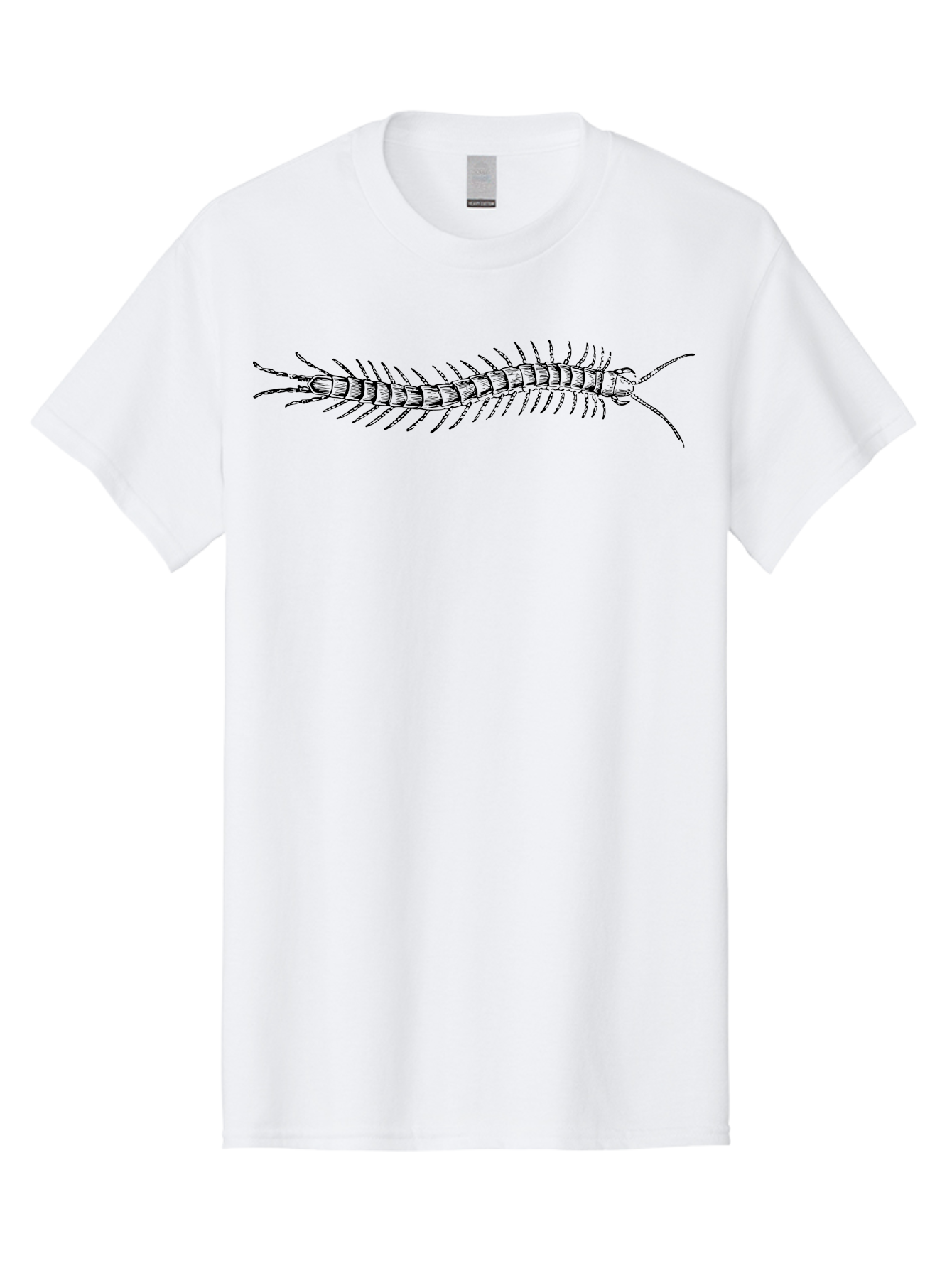 Centipede-1 Men'S Graphic Tee, 100% Cotton, Comfortable Casual Summer Wear, Machine Washable, Centipede, Insect, Arthropod, Segmented Body, Multiple Legs, Long Antennae, Creepy Crawlers, Entomology, Wildlife, Fauna Aab521
