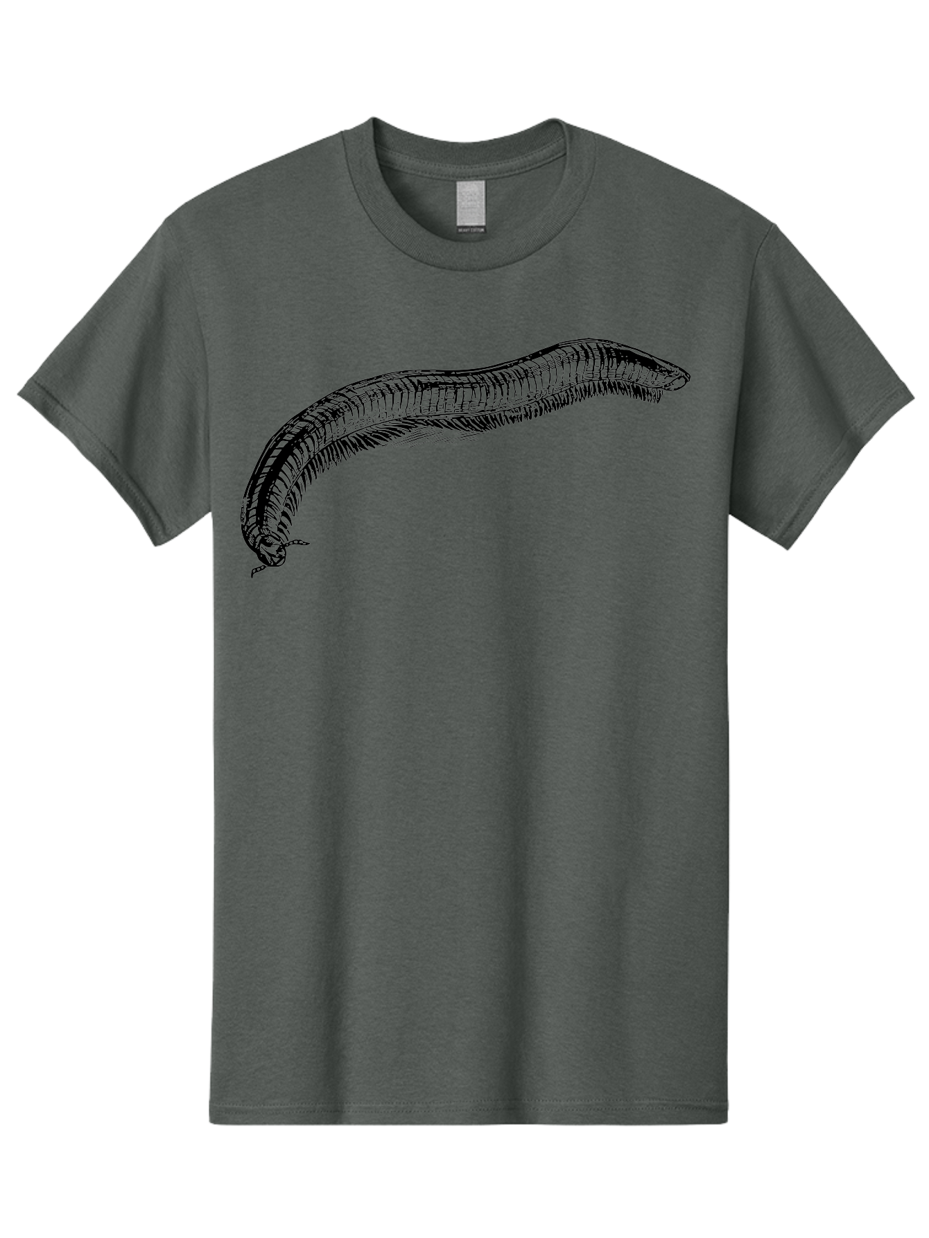 Centipede Men'S Graphic Tee, 100% Cotton, Comfortable Casual Summer Wear, Machine Washable, Centipede, Arthropod, Insect Anatomy, Detailed Drawing, Black Lines, Simple Background, Invertebrate, Segmented Body, Many Legs Aab522