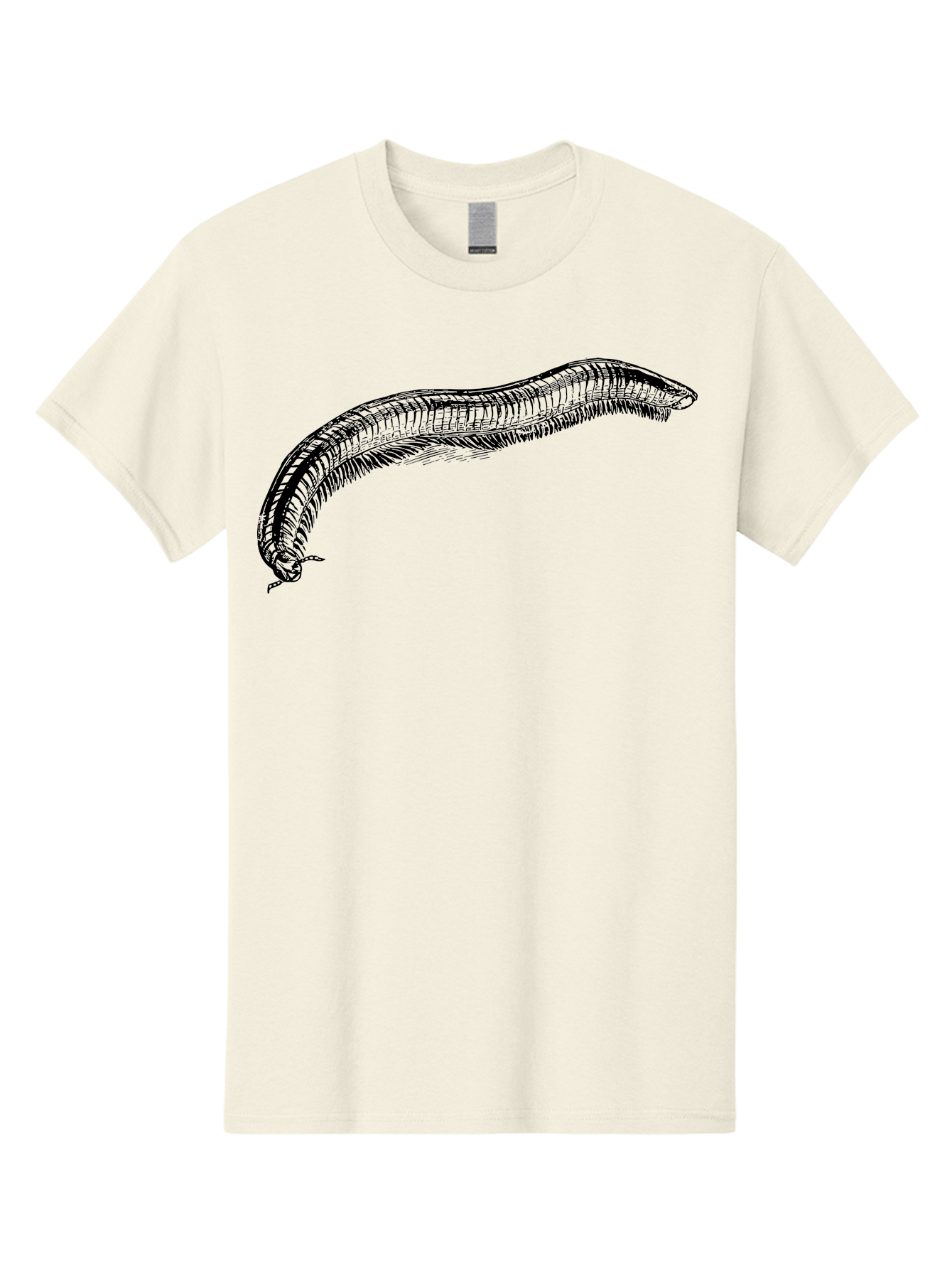 Centipede Men'S Graphic Tee, 100% Cotton, Comfortable Casual Summer Wear, Machine Washable, Centipede, Arthropod, Insect Anatomy, Detailed Drawing, Black Lines, Simple Background, Invertebrate, Segmented Body, Many Legs Aab522