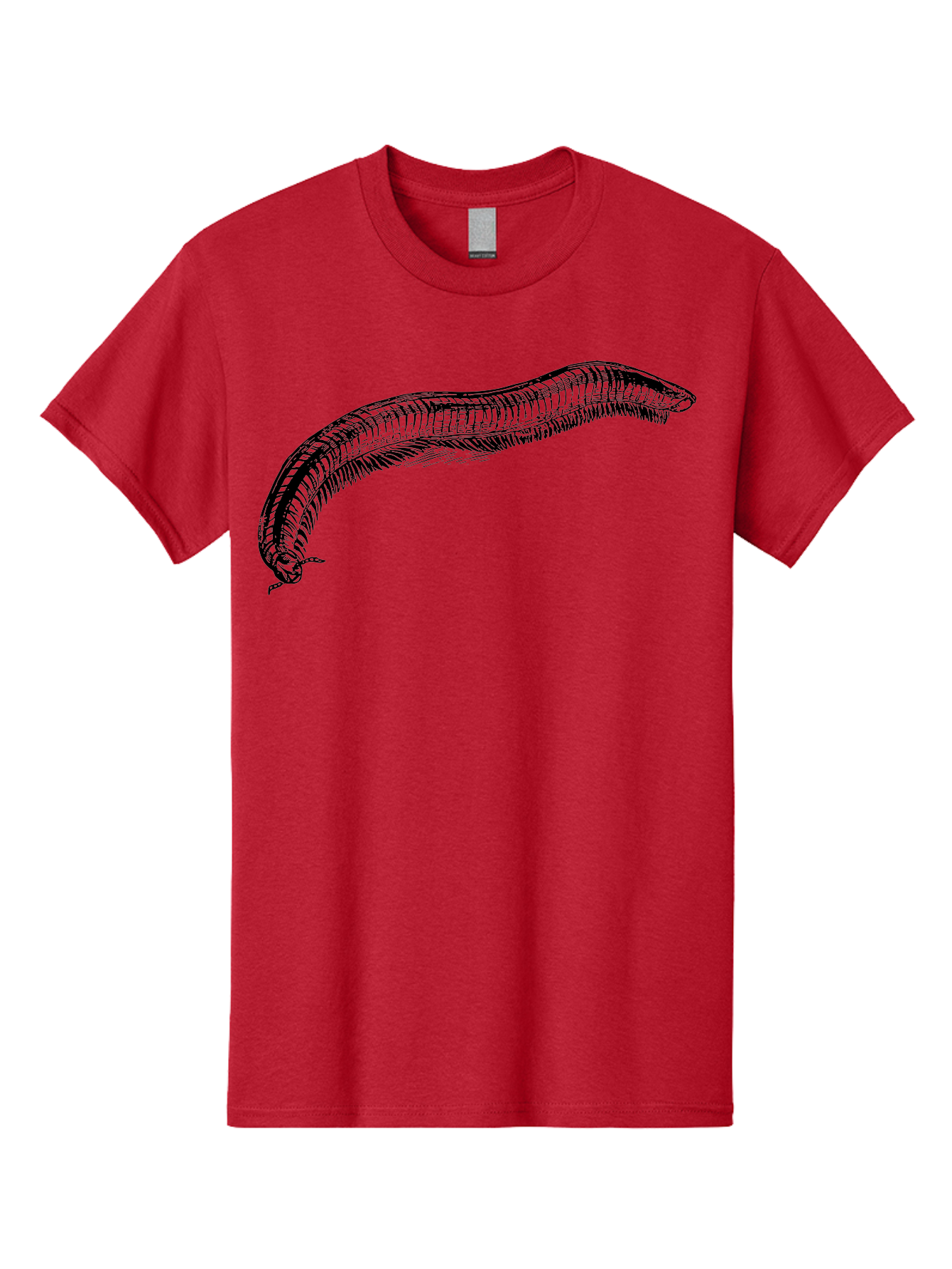 Centipede Men'S Graphic Tee, 100% Cotton, Comfortable Casual Summer Wear, Machine Washable, Centipede, Arthropod, Insect Anatomy, Detailed Drawing, Black Lines, Simple Background, Invertebrate, Segmented Body, Many Legs Aab522